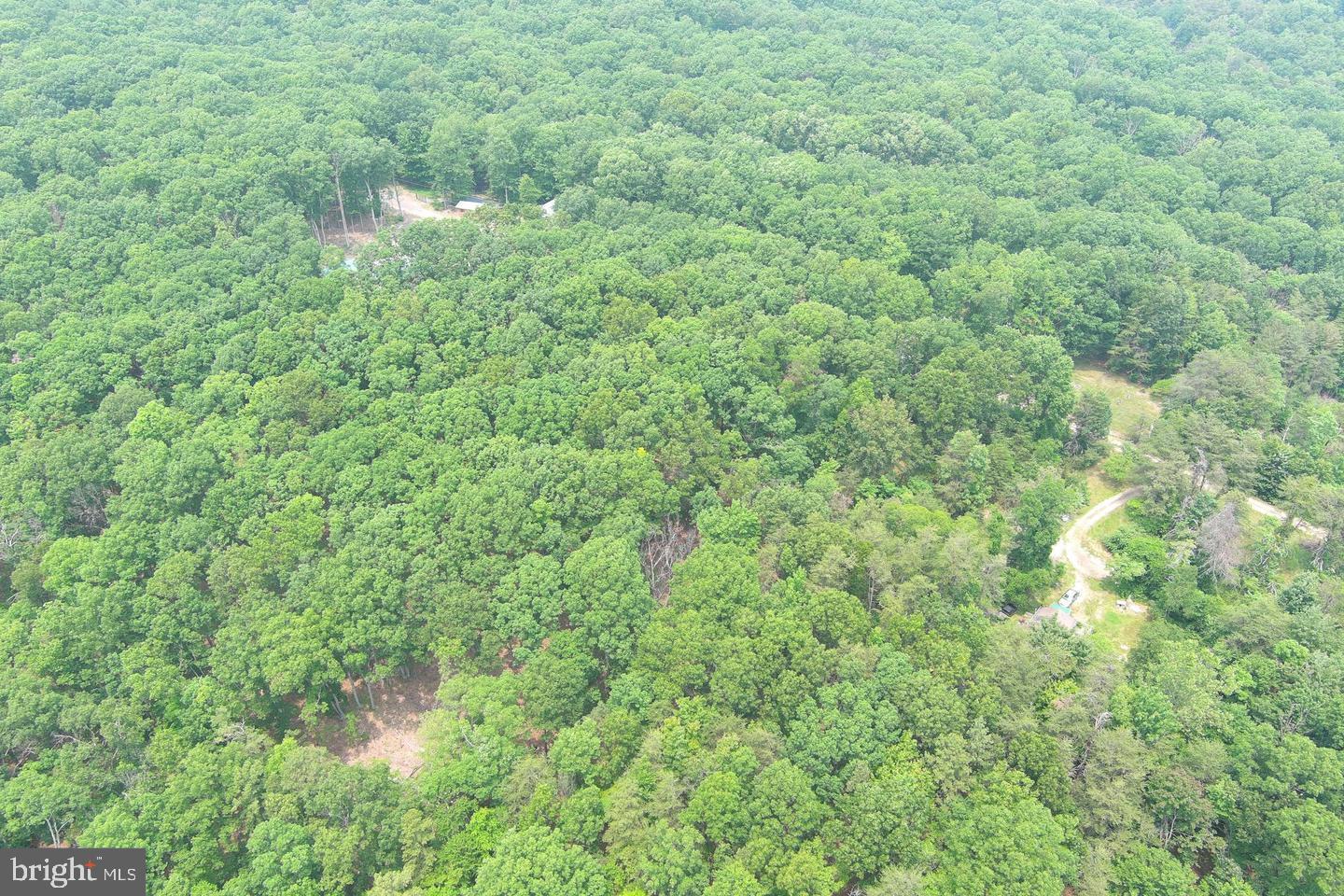 CABIN IN THE FOREST - Land