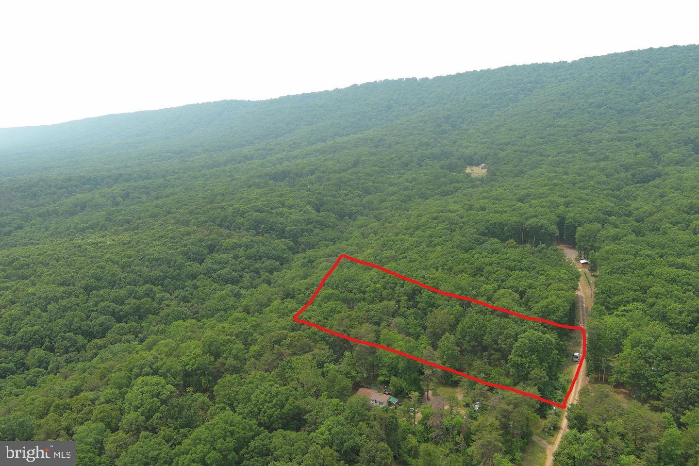 CABIN IN THE FOREST - Land