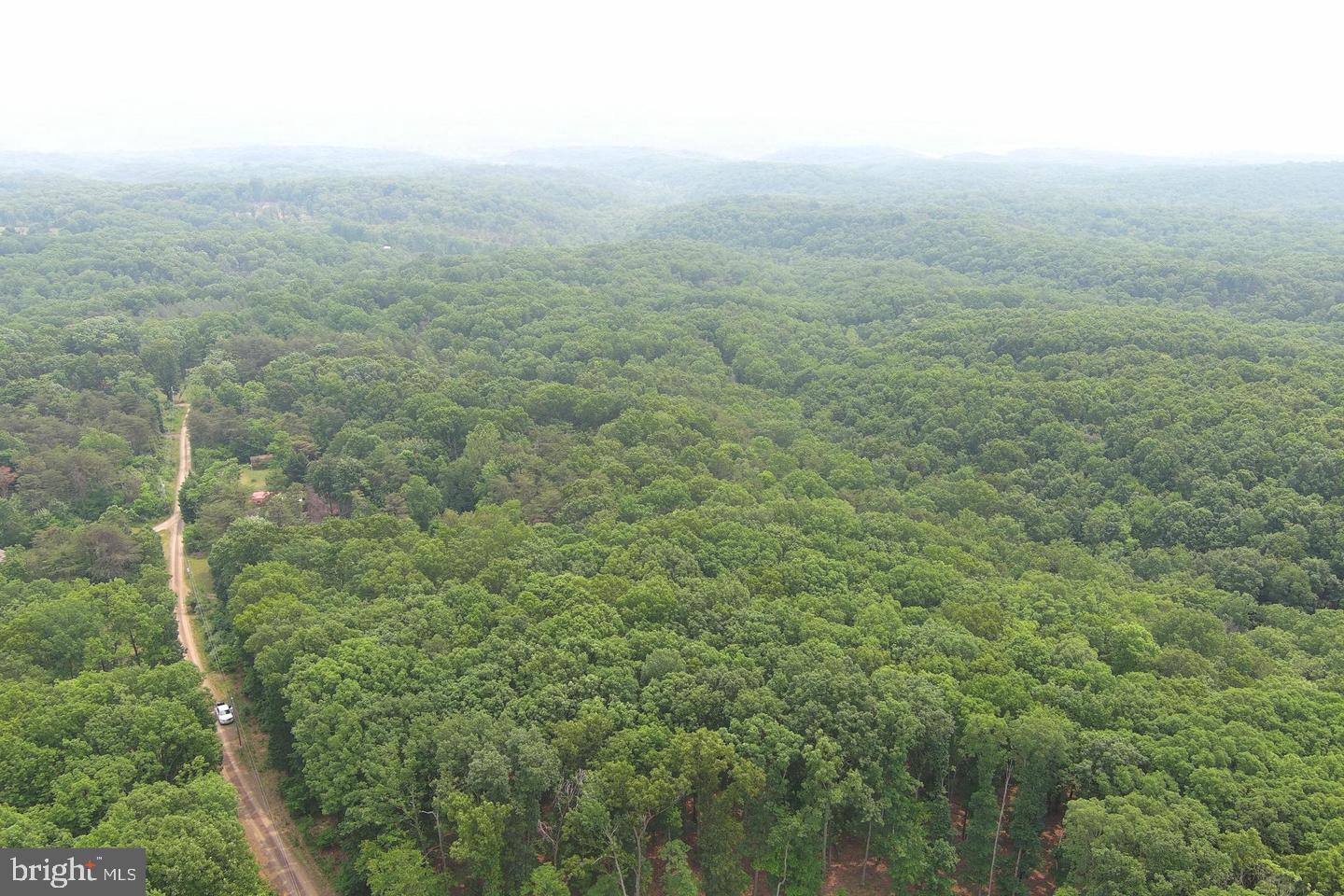 CABIN IN THE FOREST - Land