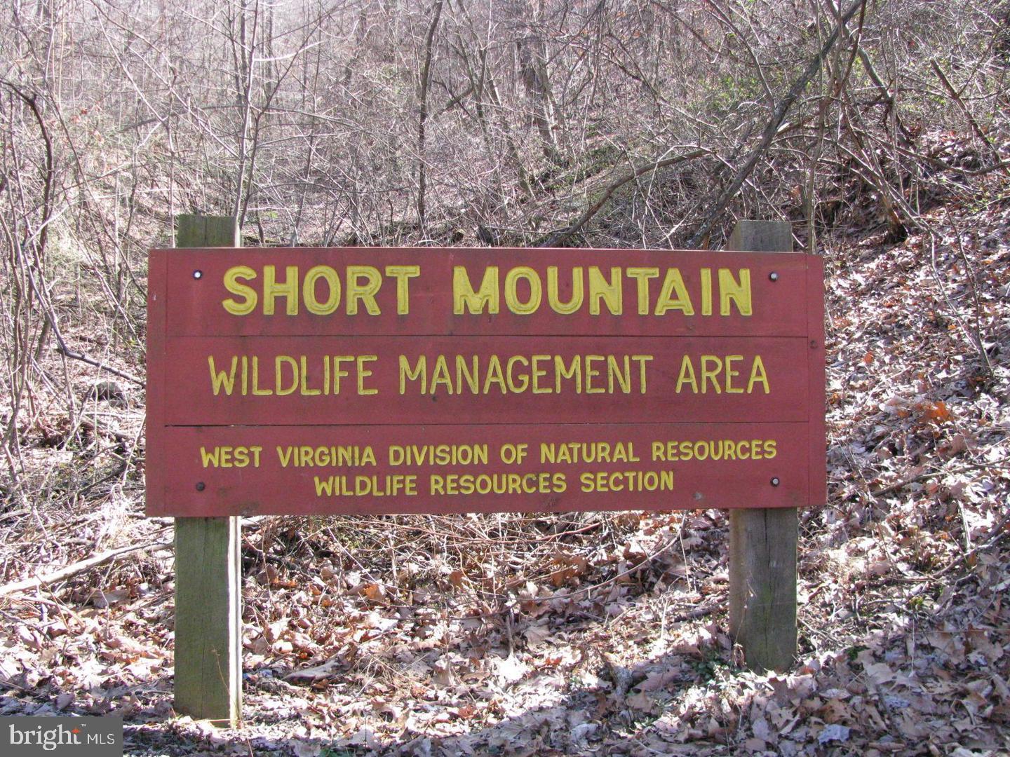 CABIN IN THE FOREST - Land