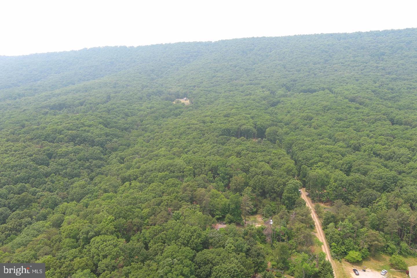 CABIN IN THE FOREST - Land