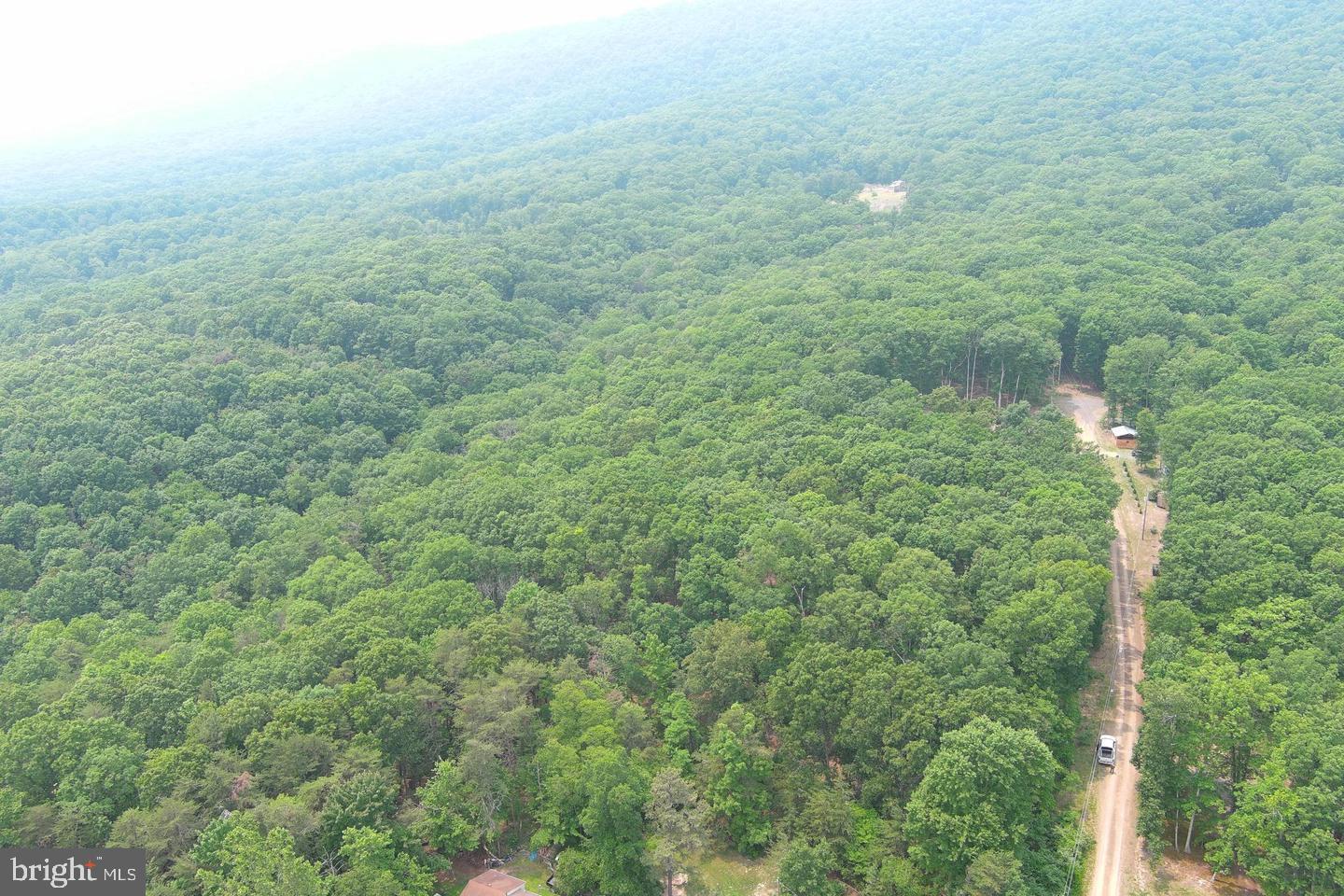 CABIN IN THE FOREST - Land