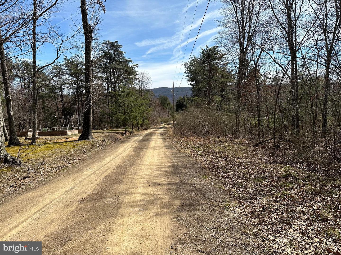 CABIN IN THE FOREST - Land