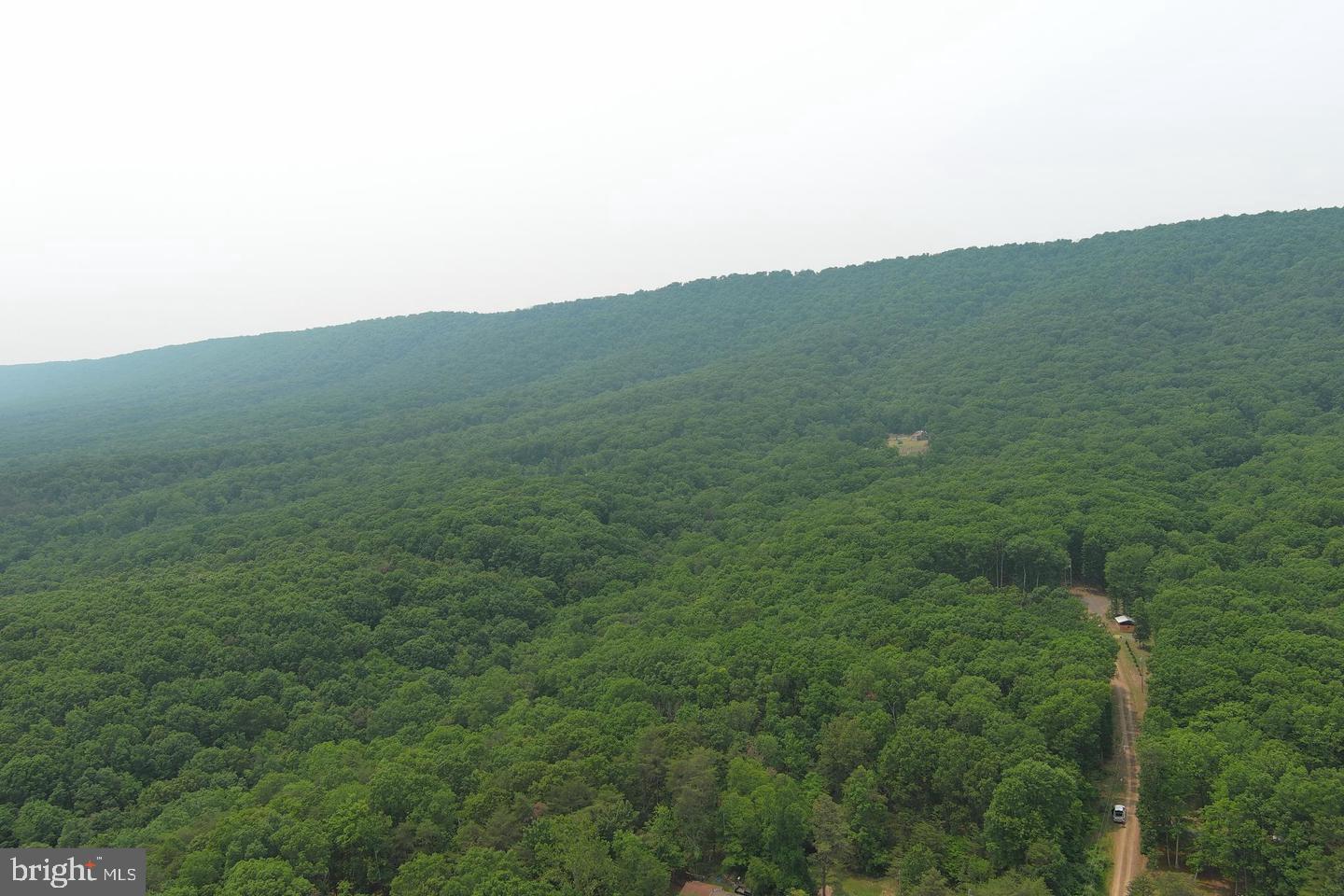 CABIN IN THE FOREST - Land