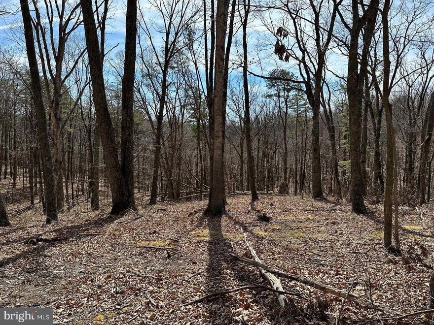 AFFORDABLE PIECE OF THE PIE! 2 GENTLE ACRES COVERED IN MATURE HARDWOODS WITH MOUNTAIN VIEW. VERY NICE BUILD SITE 100 YARDS OFF THE ROAD, ELECTRICITY AT THE ROAD. MOBILE HOMES ALLOWED ON PERMANENT FOUNDATION. COMMUNITY OFFERS PRIVATE ACCESS POINT TO SHORT MOUNTAIN WILDLIFE MANAGEMENT AREA, 8000 ACRES OF PUBLIC HUNTING & HIKING AT YOUR DISPOSAL! BRING YOUR TENT, CAMPER, MOBILE HOME OR PLANS FOR YOUR HOUSE OR CABIN. AT 16K....HOW CAN YOU GO WRONG?