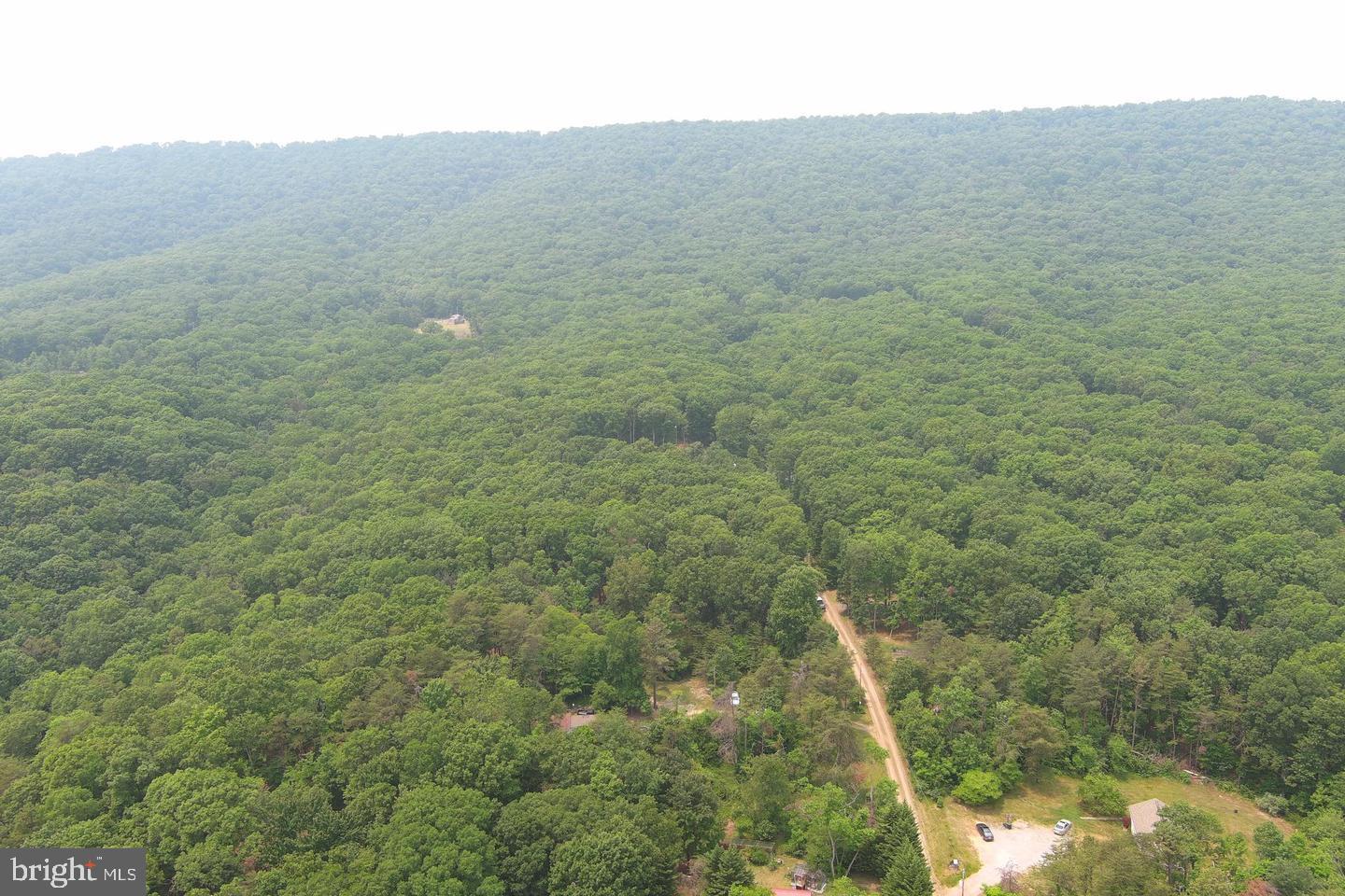 CABIN IN THE FOREST - Land