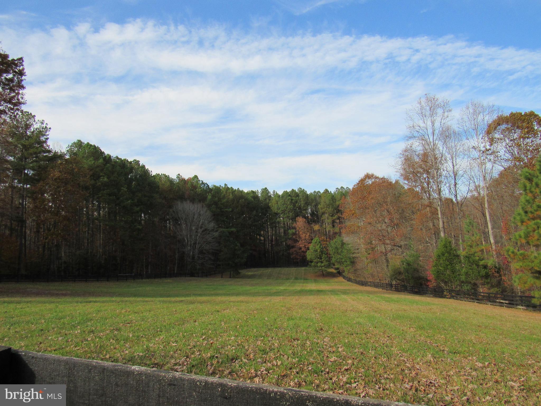 SUMERDUCK FOREST - Residential