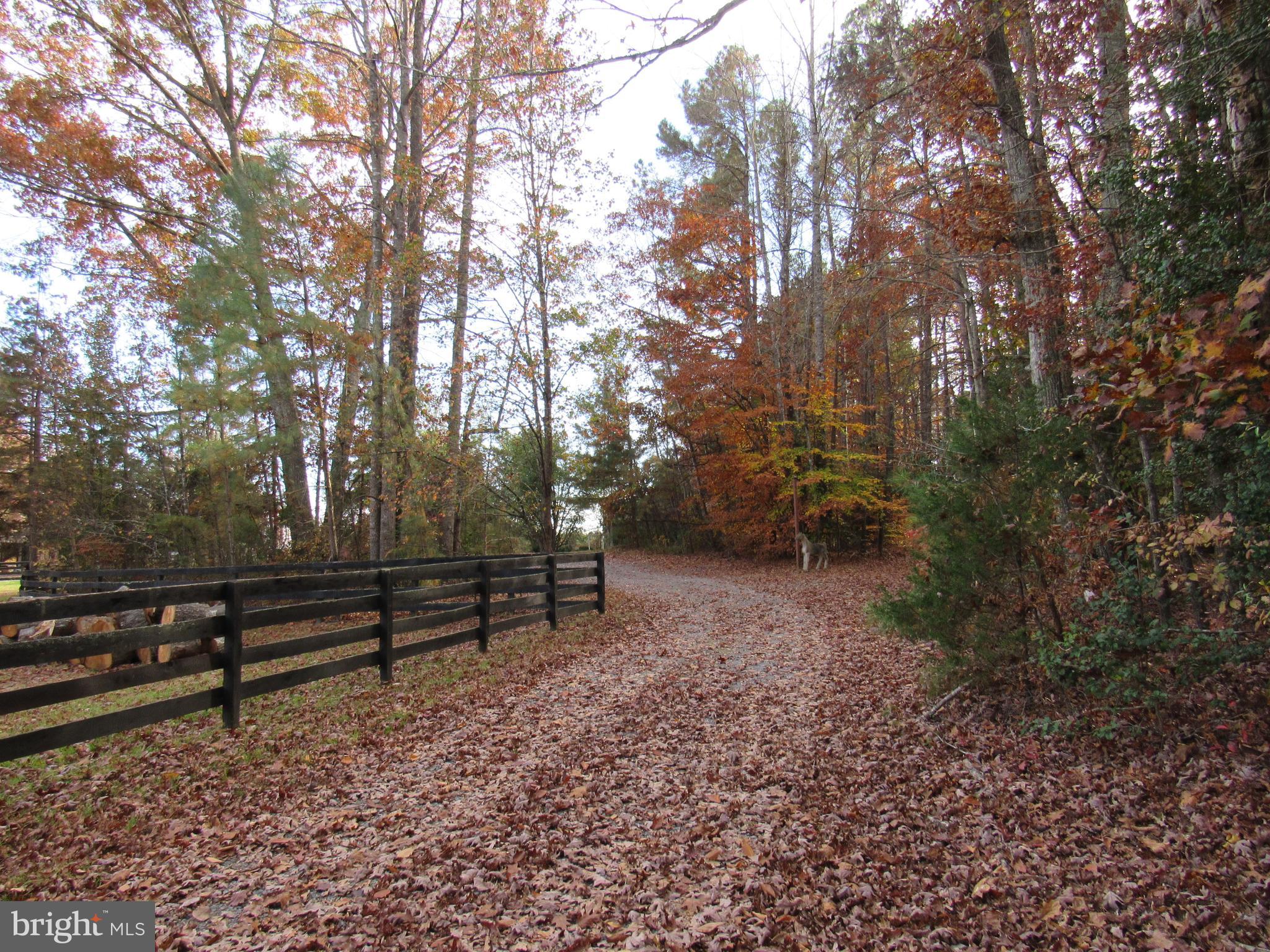 SUMERDUCK FOREST - Residential