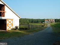 SUMERDUCK FOREST - Residential