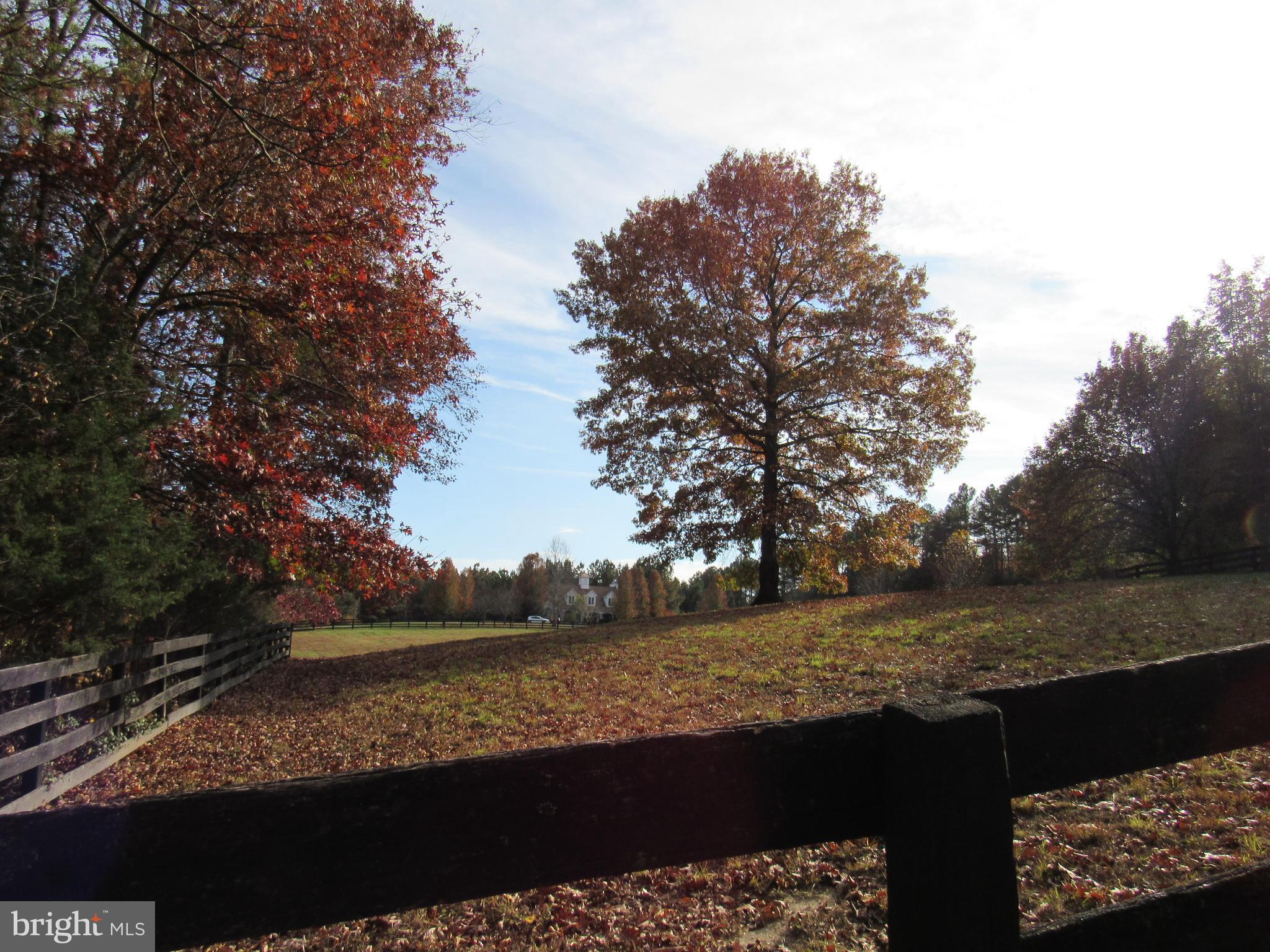 SUMERDUCK FOREST - Residential