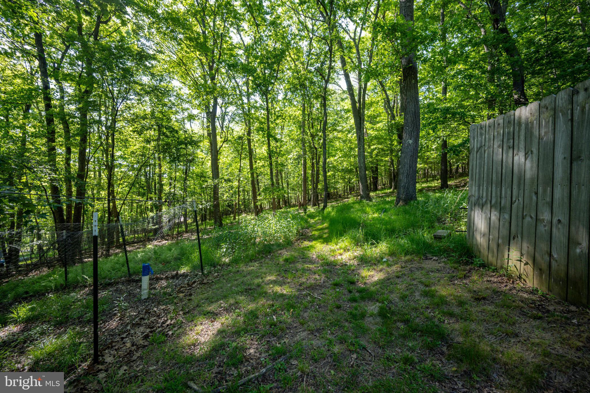 1256 BOILING SPRING ROAD