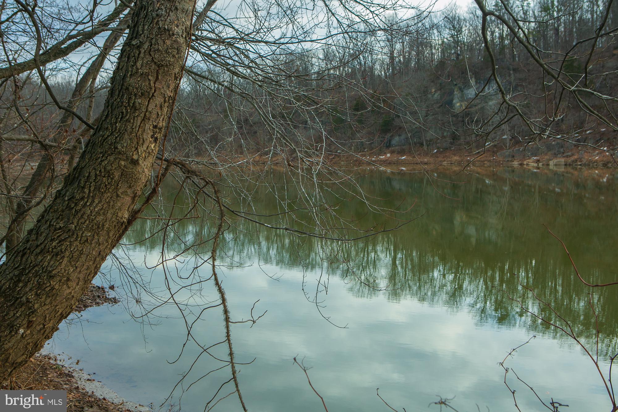 CROSSINGS ON THE POTOMAC - Land