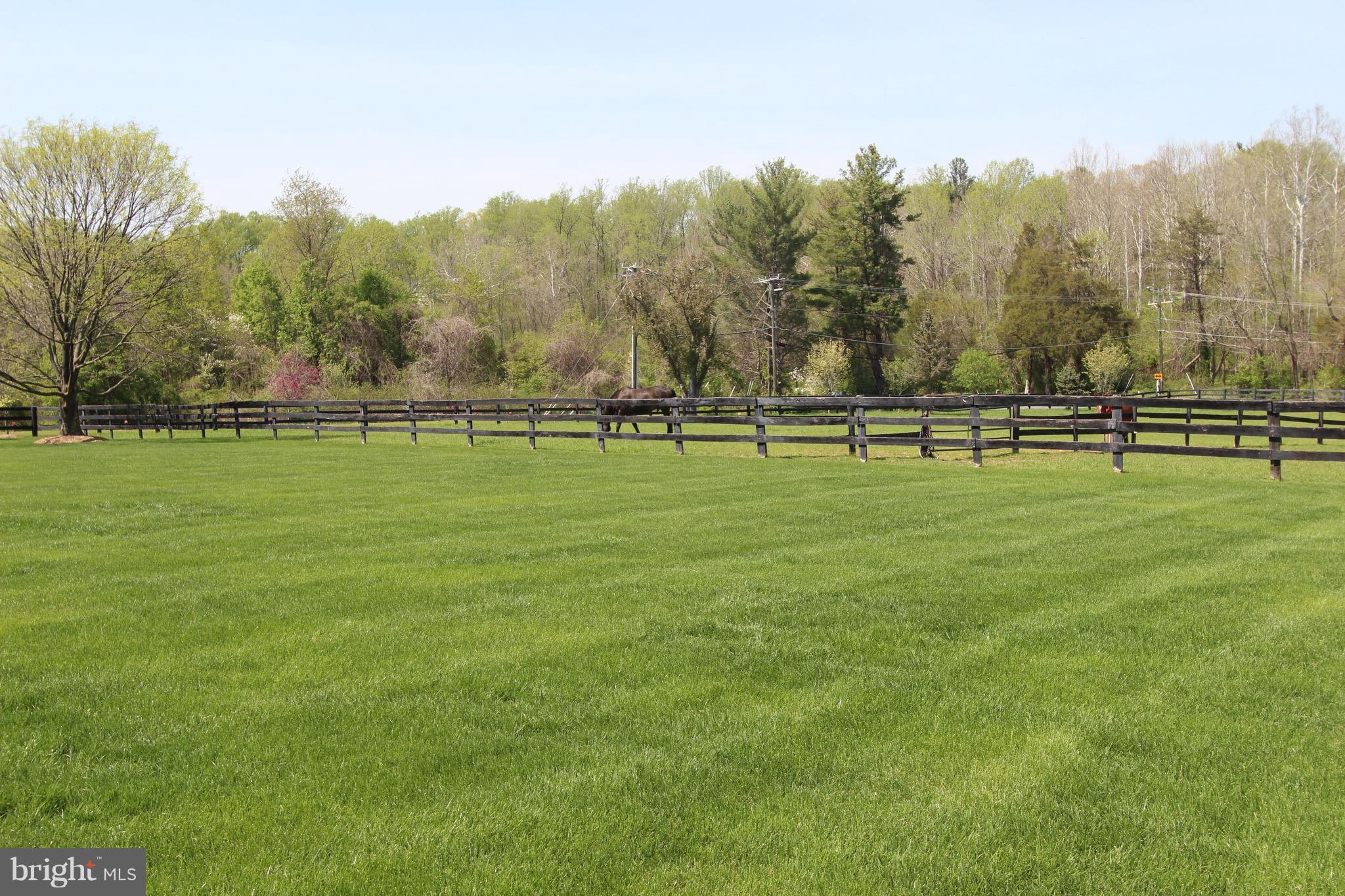 COLD STREAM FARMS - Residential