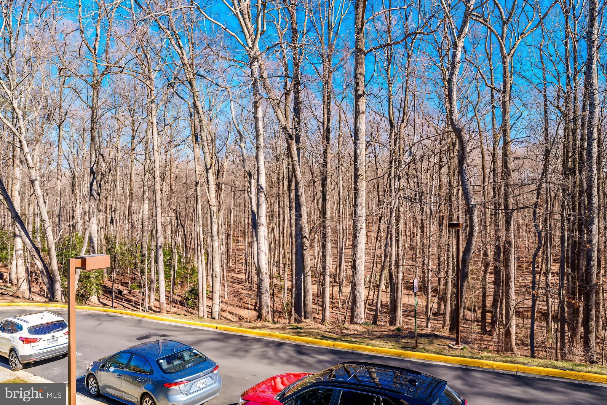 CHESTNUT GROVE - Residential