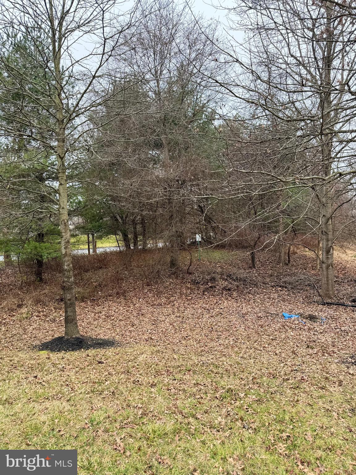 FAIRWOOD - Residential