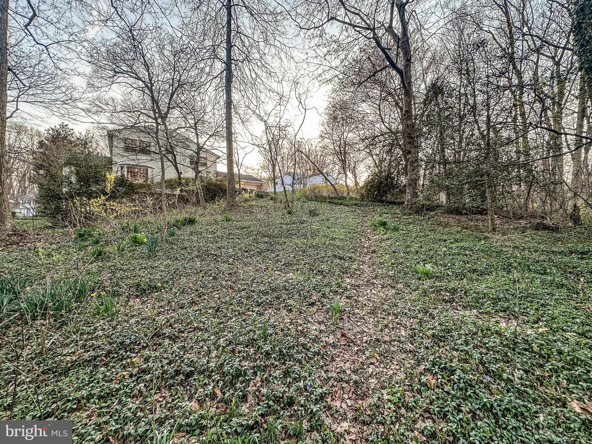 FOREST VILLA - Residential