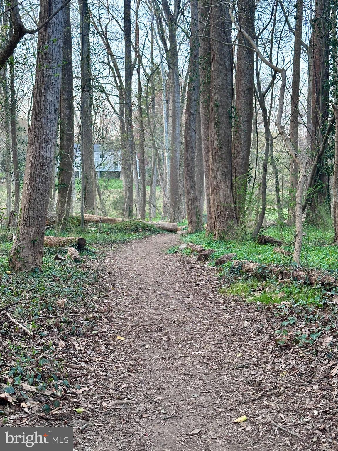 FOREST VILLA - Residential