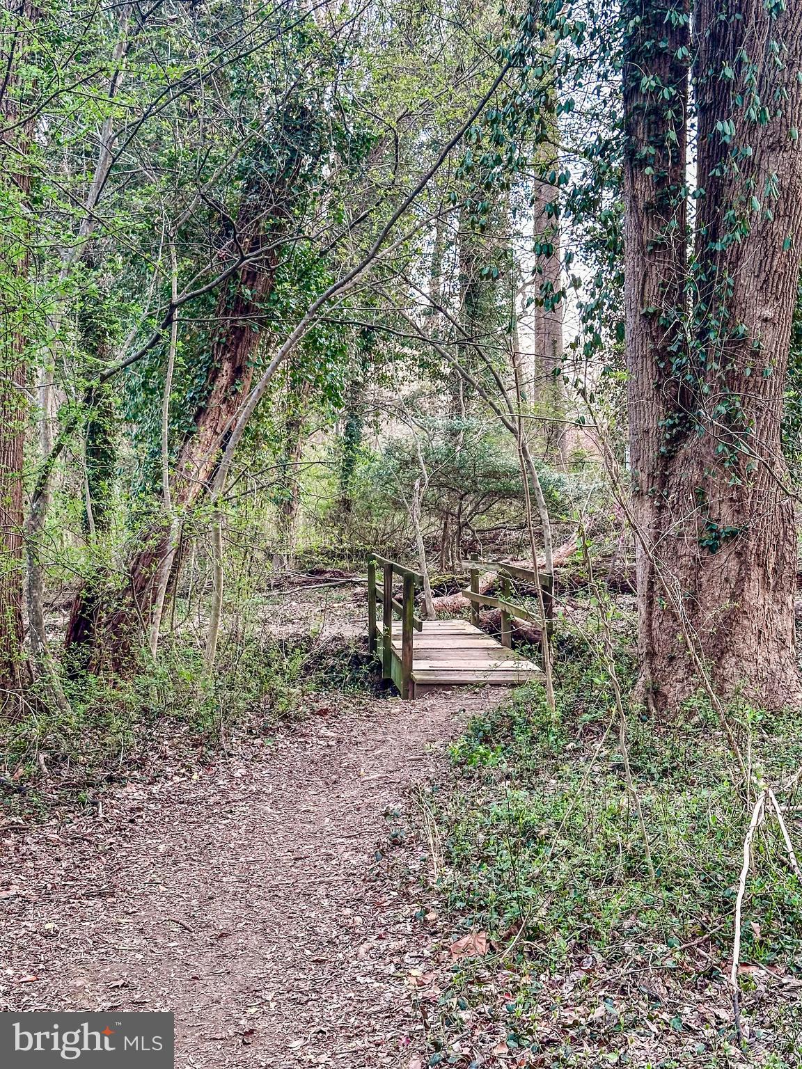 FOREST VILLA - Residential