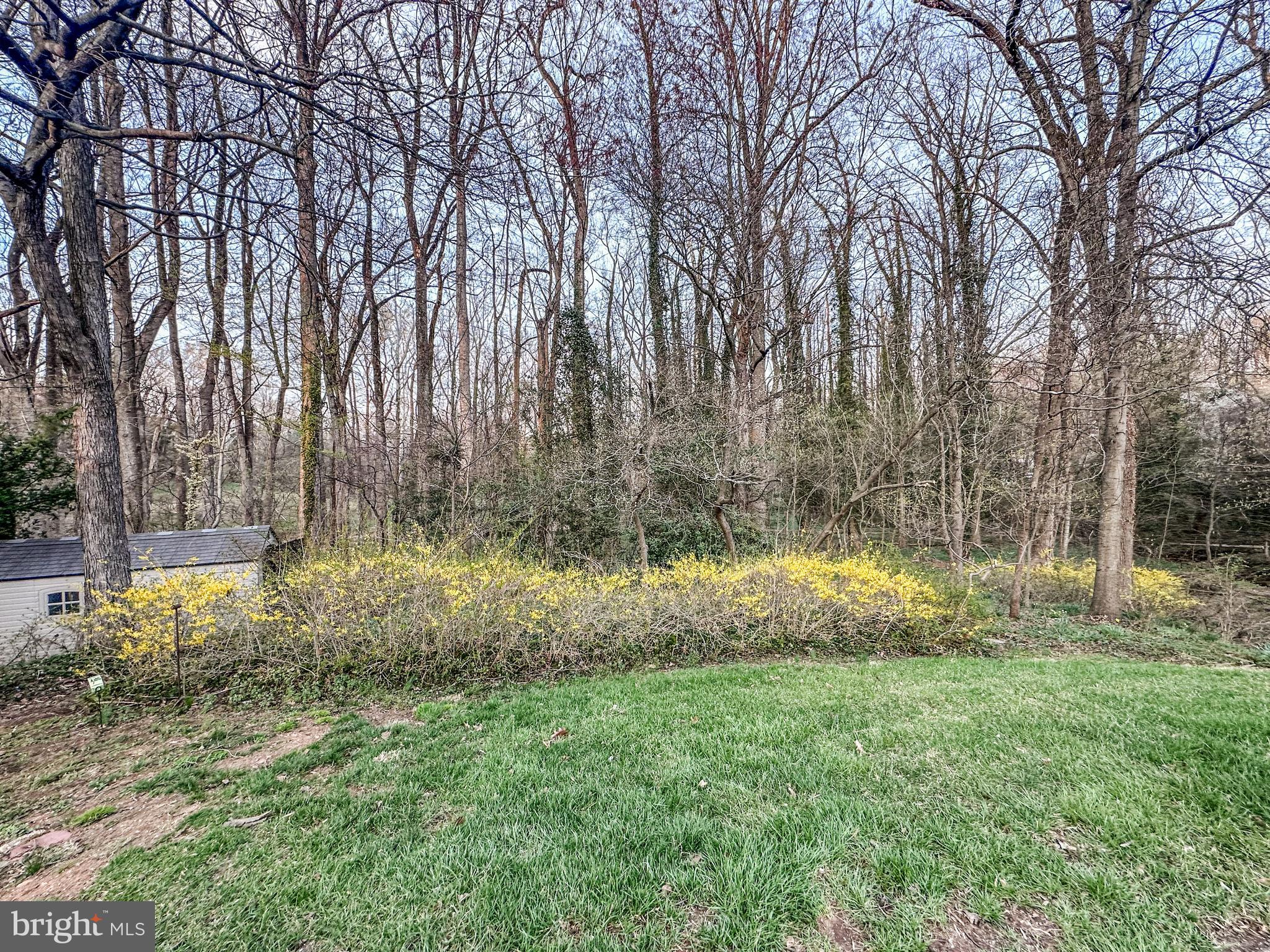 FOREST VILLA - Residential