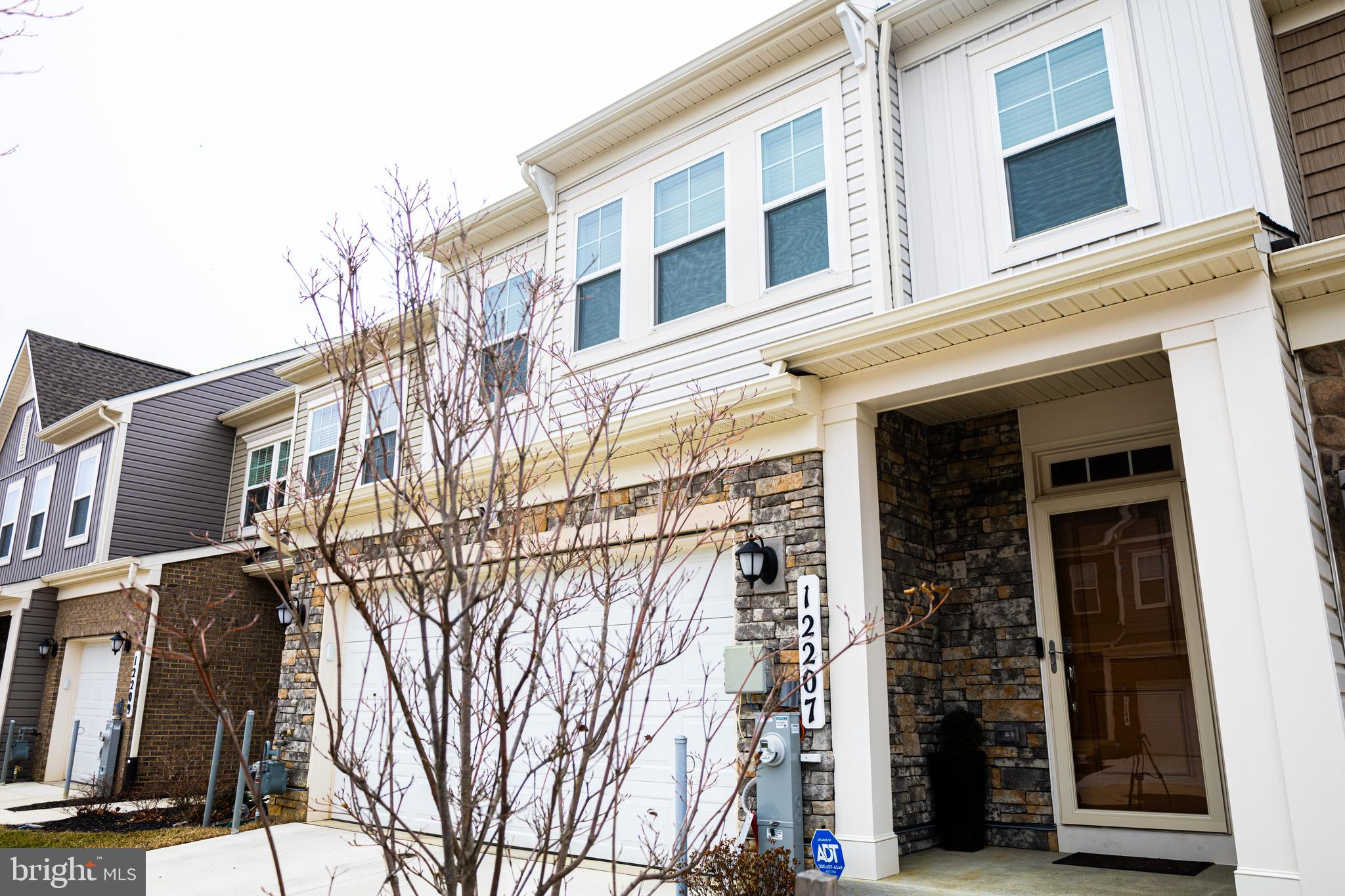 12207 AMERICAN CHESTNUT ROAD