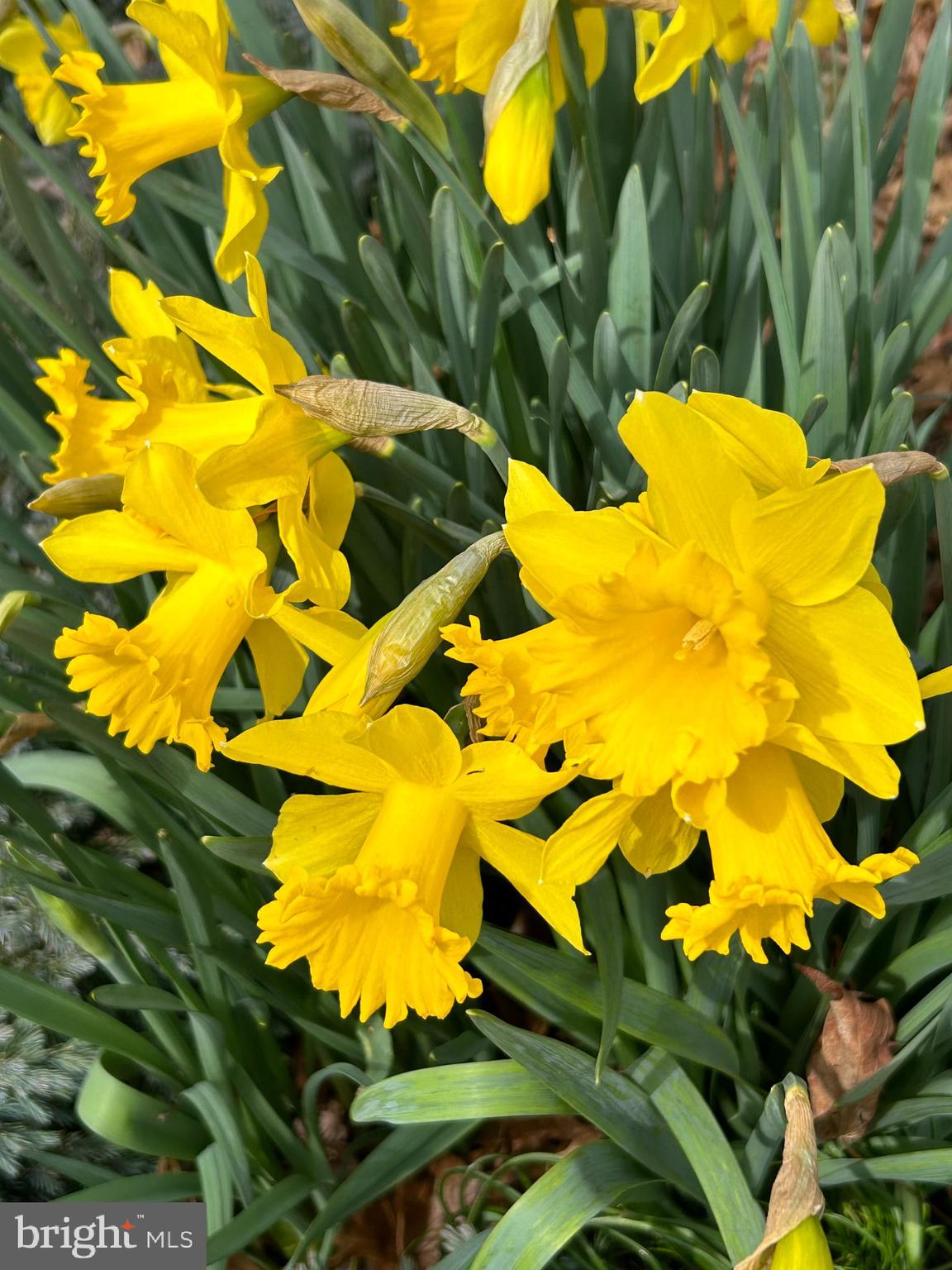 HEDRICKS FARM - Residential