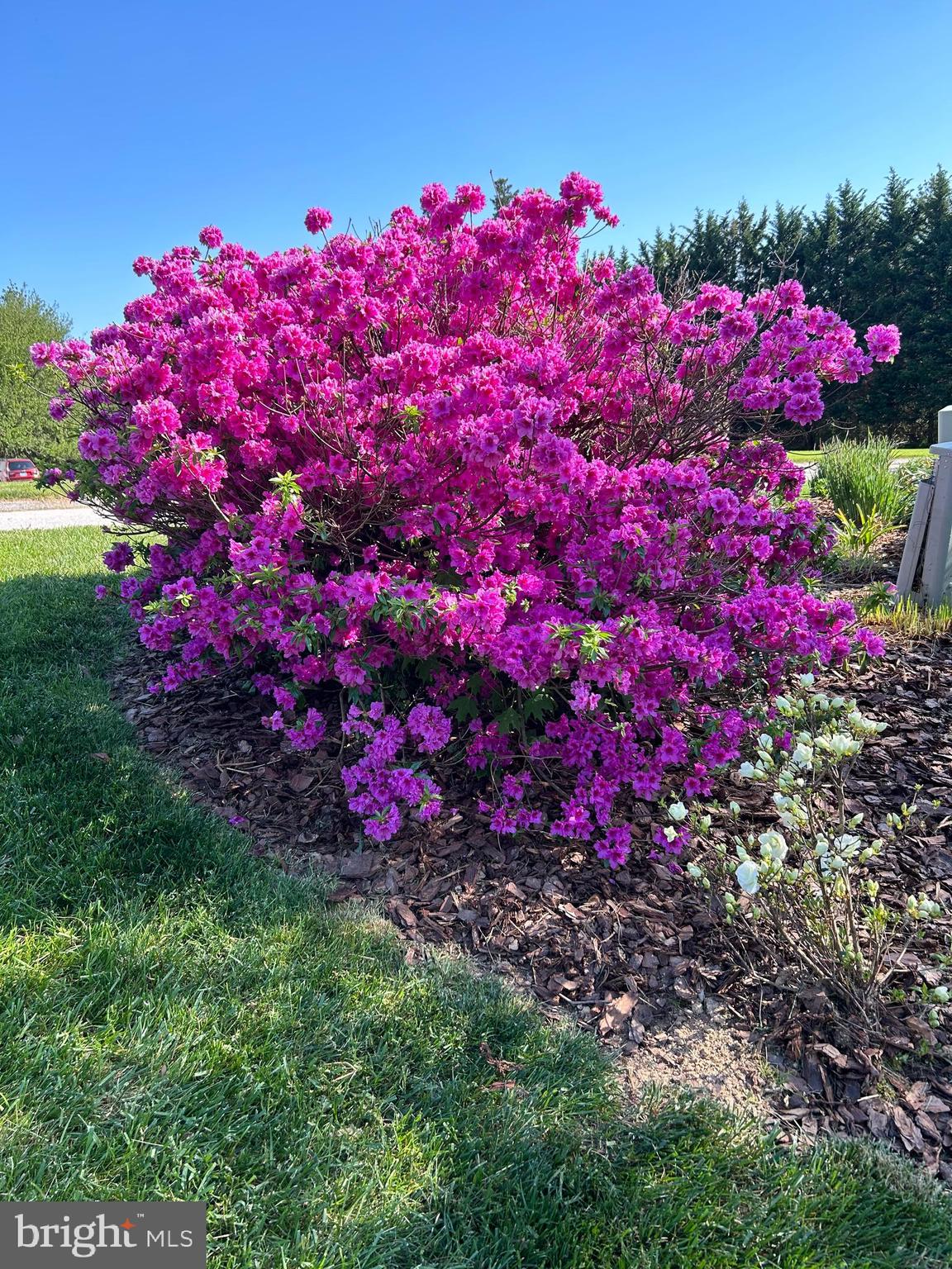 HEDRICKS FARM - Residential