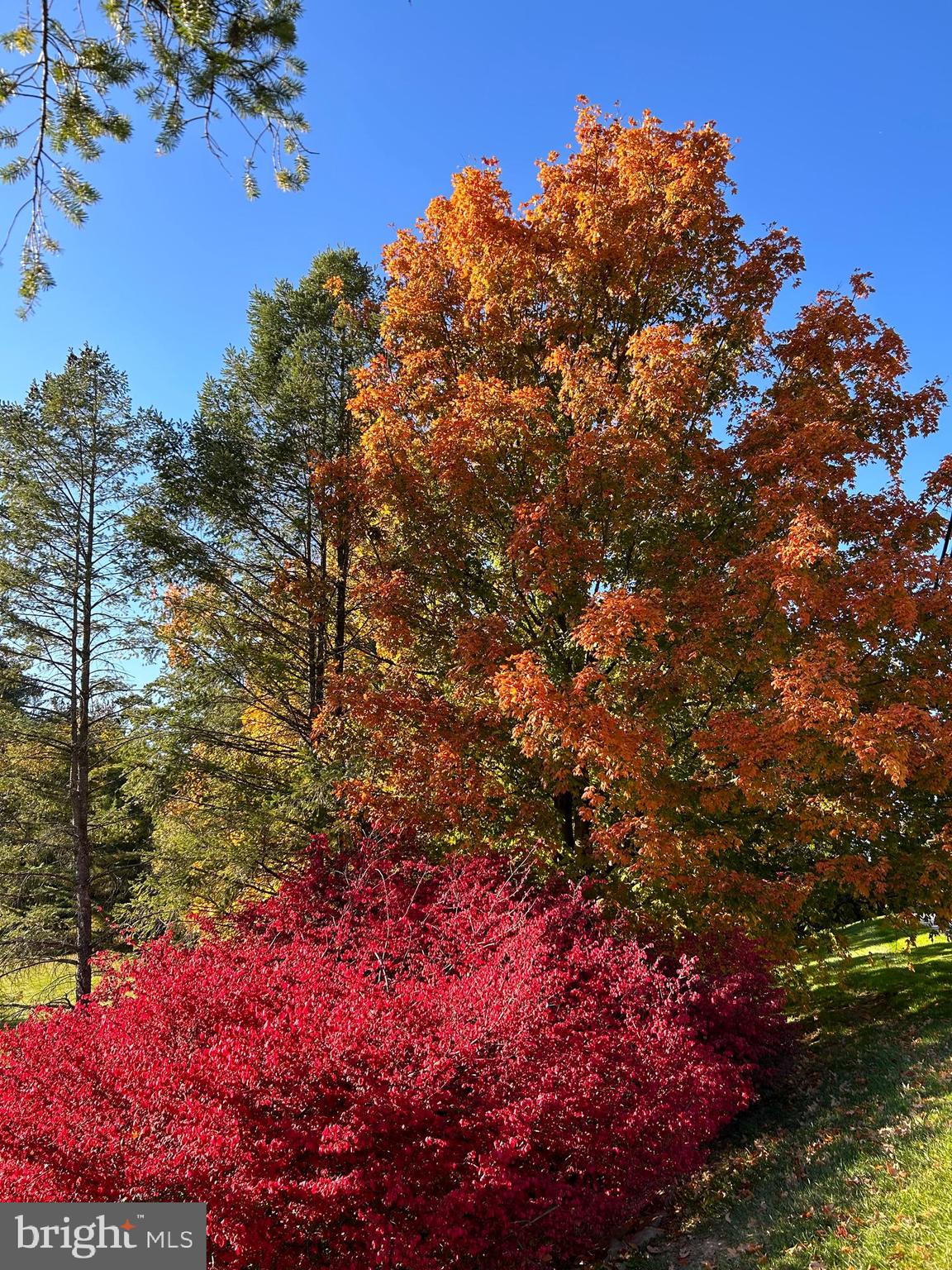 HEDRICKS FARM - Residential