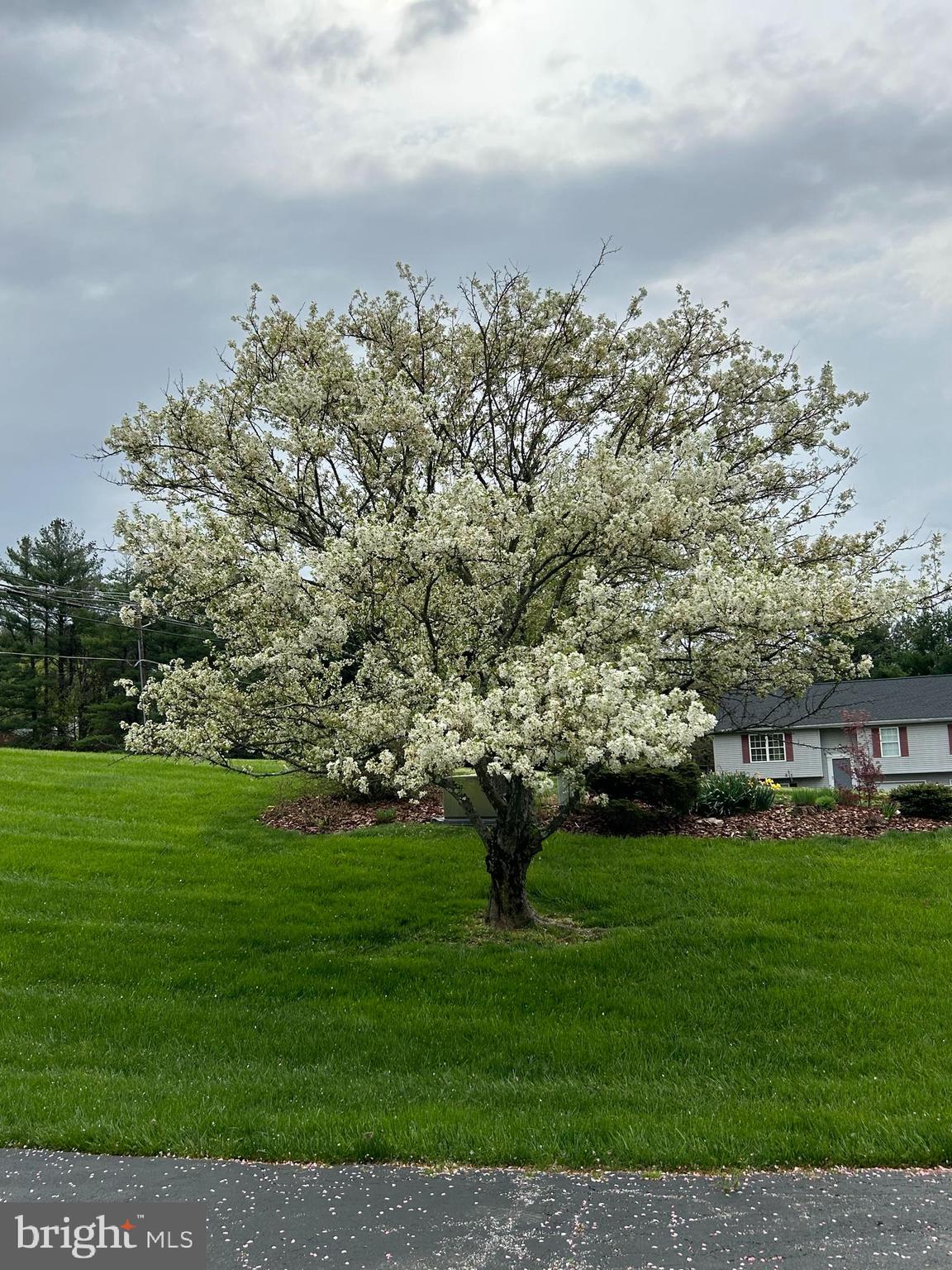 HEDRICKS FARM - Residential