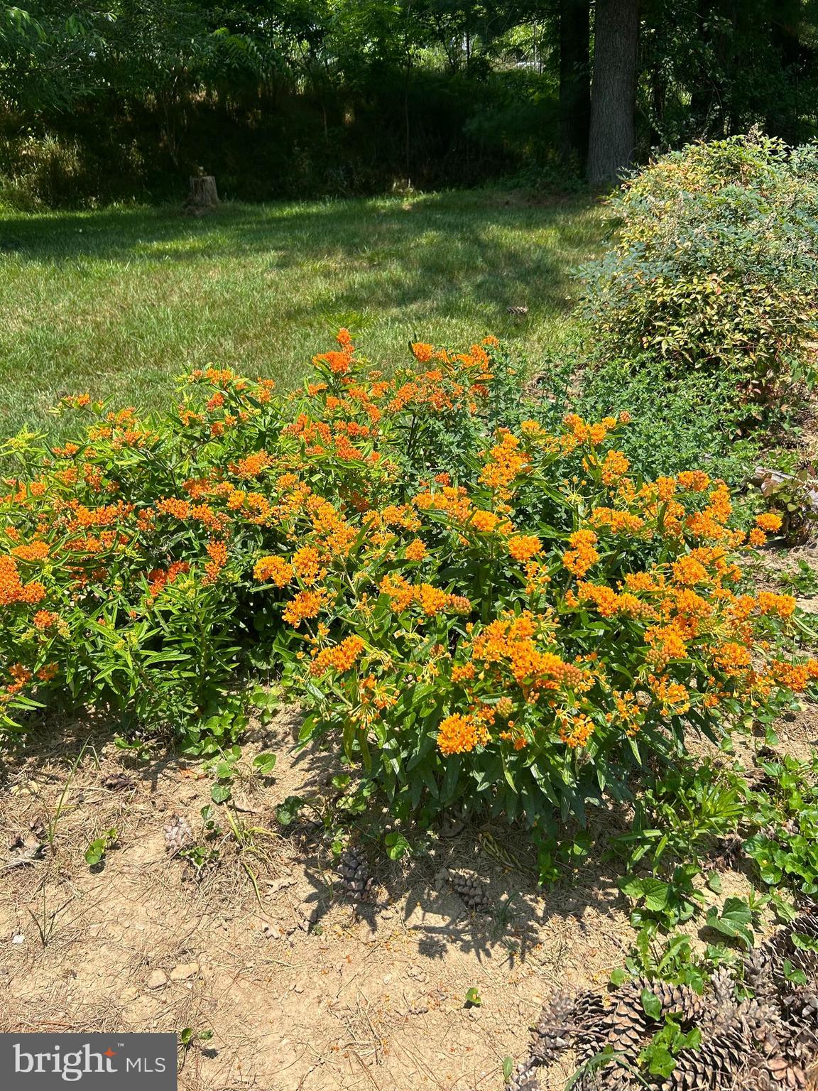 HEDRICKS FARM - Residential