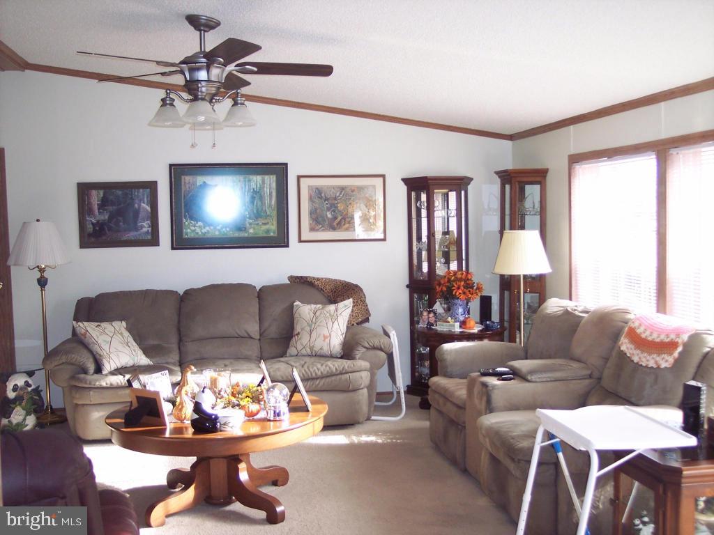 PLATEAU VILLAGE - Residential