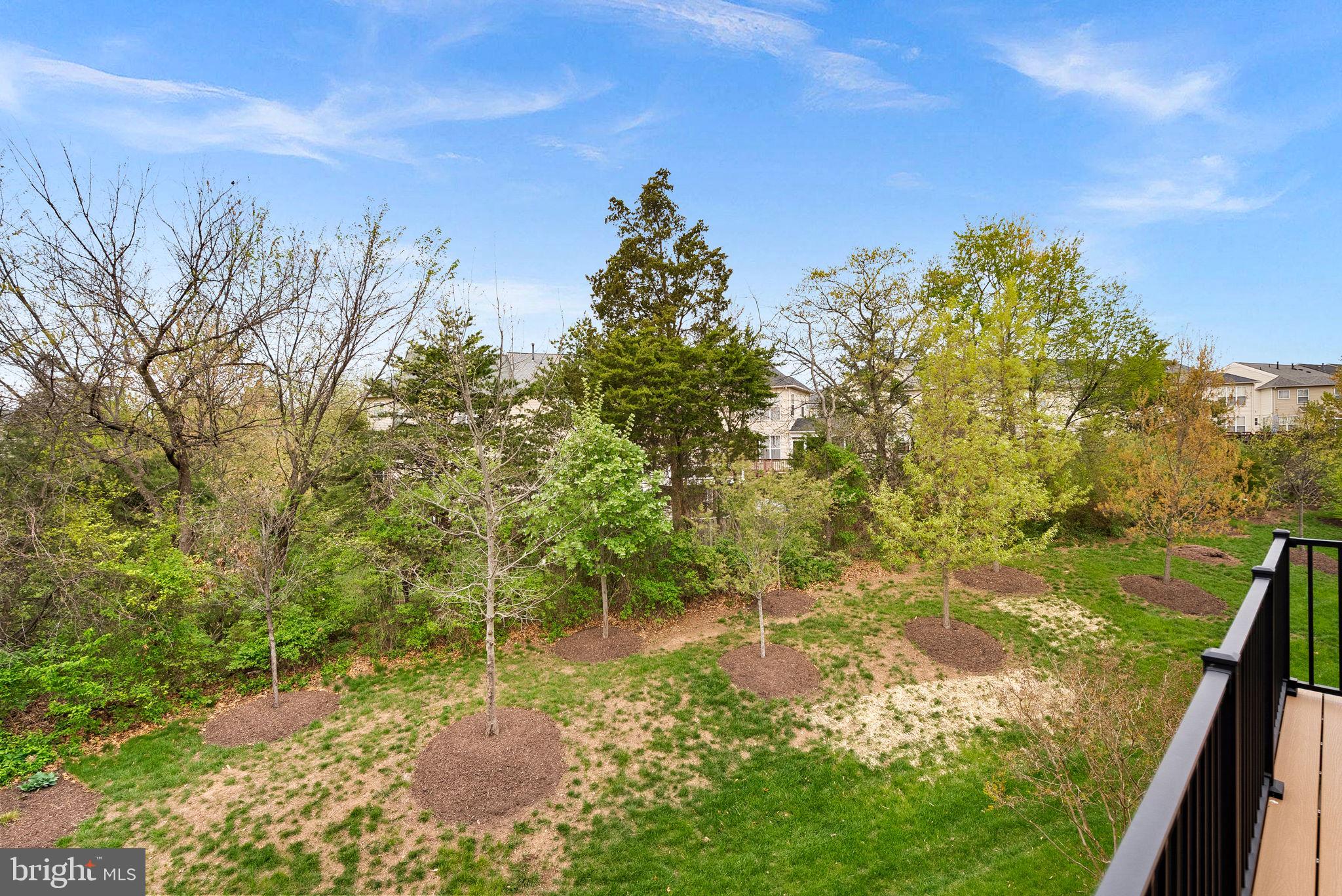 BIRCHWOOD AT BRAMBLETON - Residential