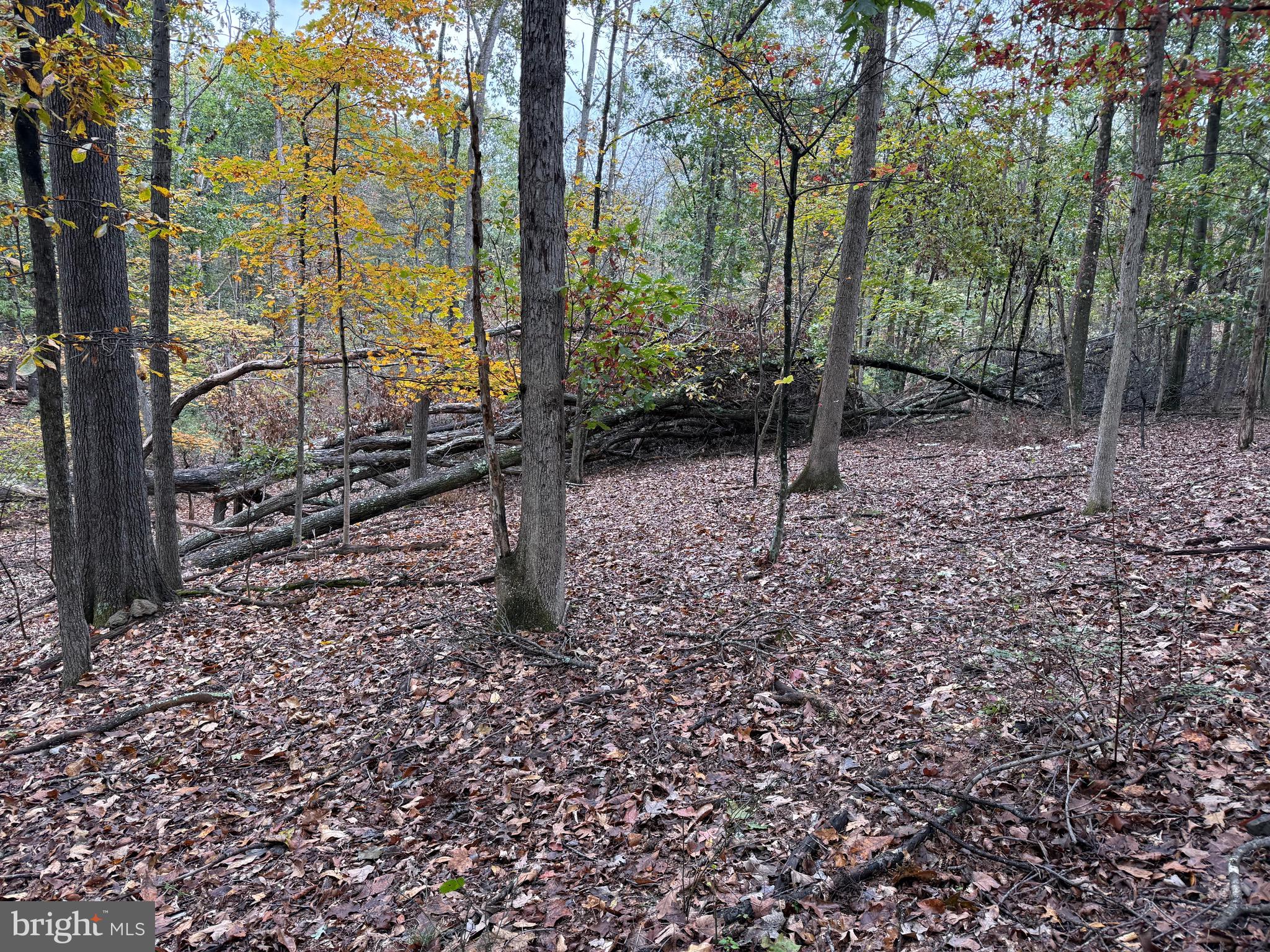 NONE AVAILABLE - Land