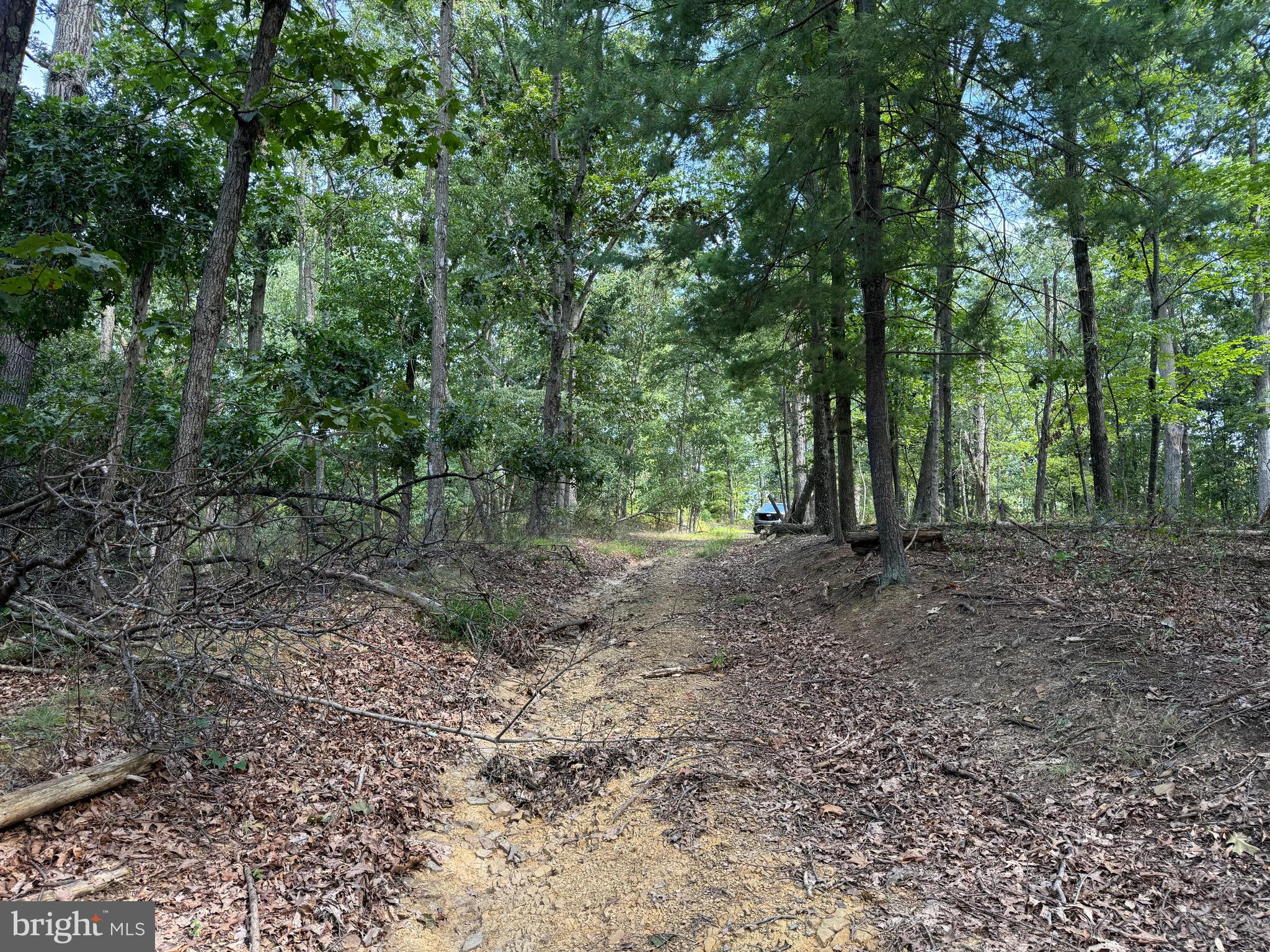 NONE AVAILABLE - Land