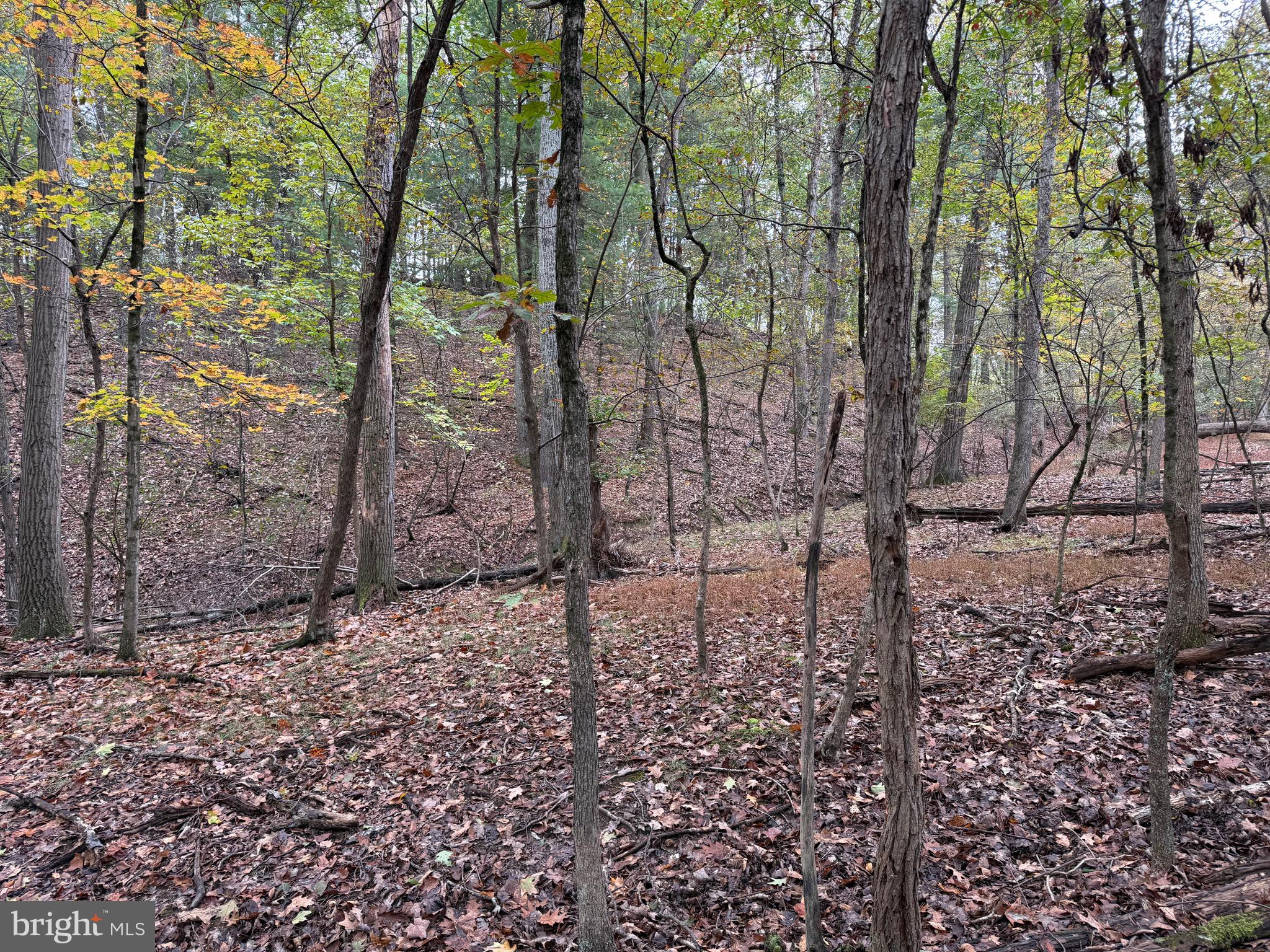 NONE AVAILABLE - Land