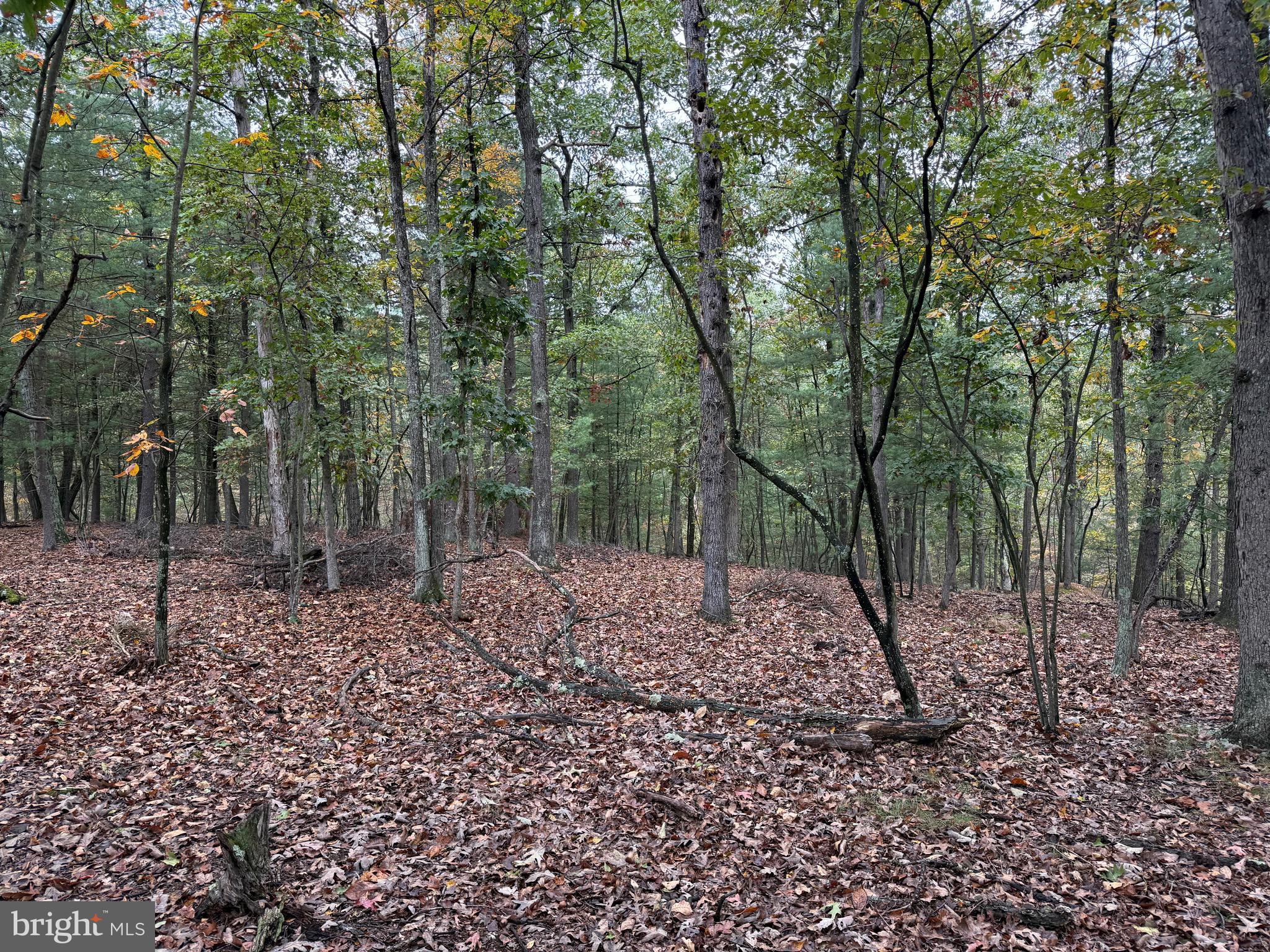 NONE AVAILABLE - Land