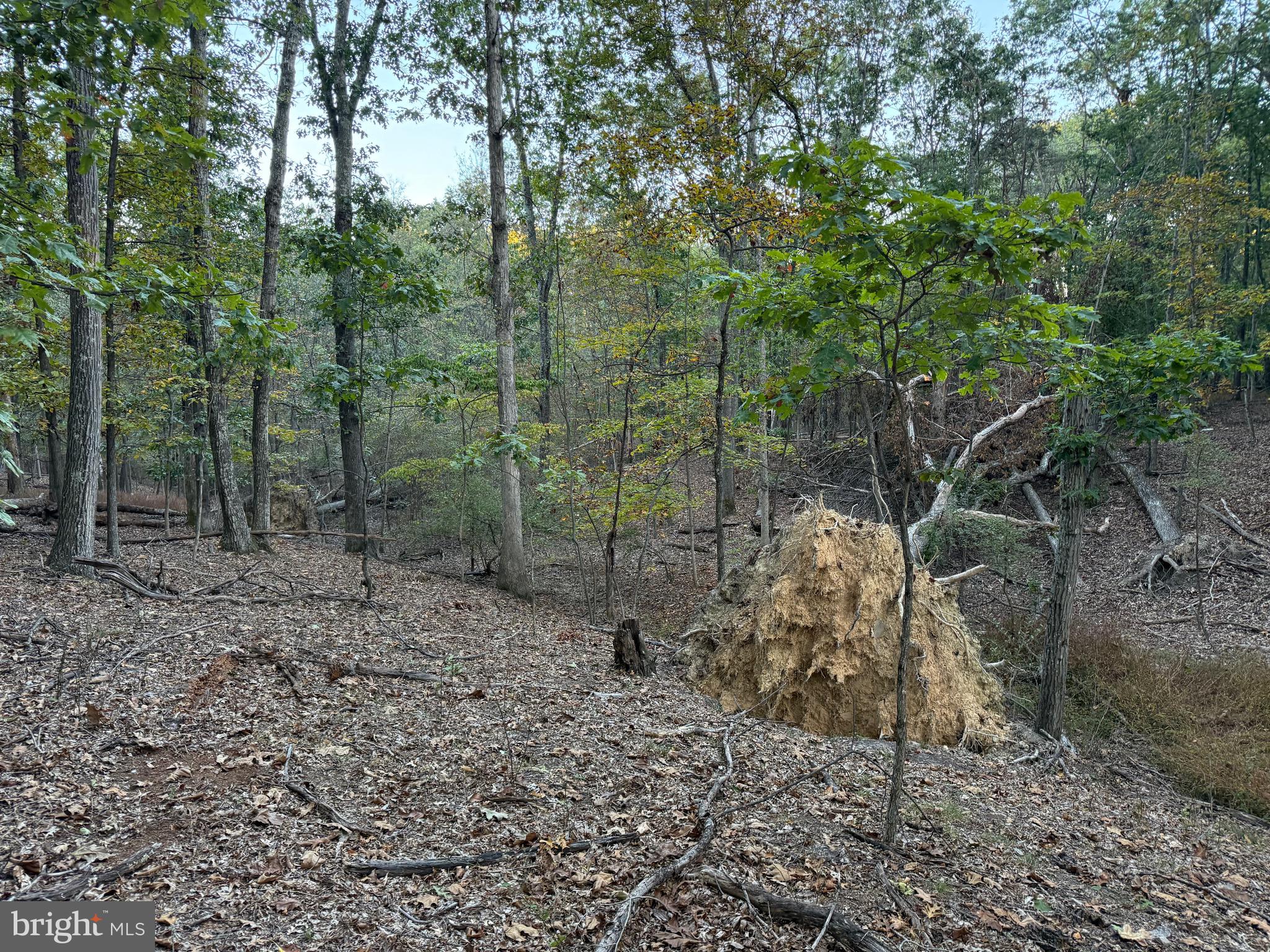 NONE AVAILABLE - Land