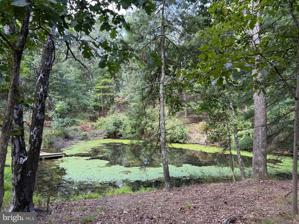 Photo of Fairview Drive, BERKELEY SPRINGS, WV 25411 (MLS # WVMO2006776)