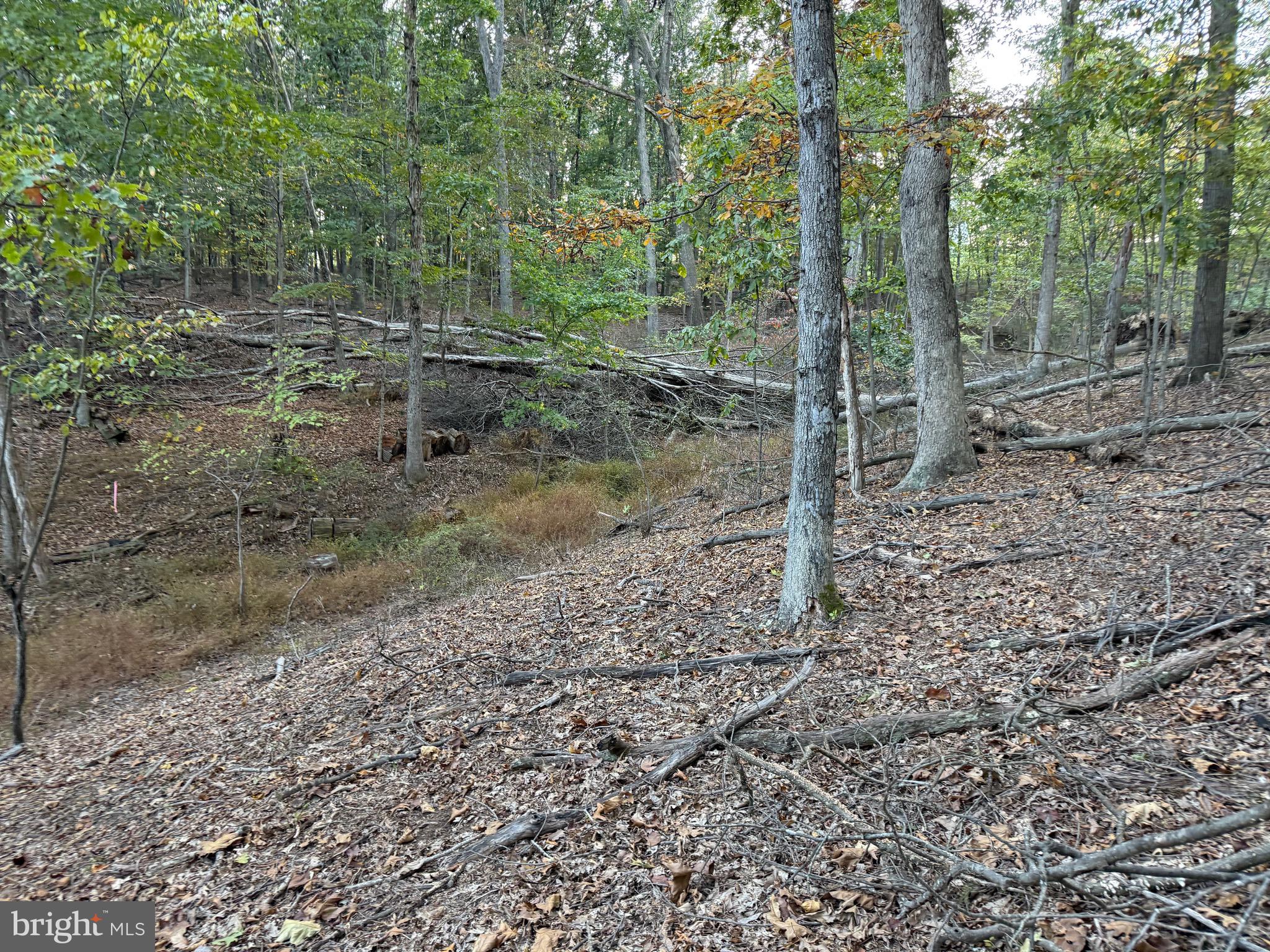 NONE AVAILABLE - Land