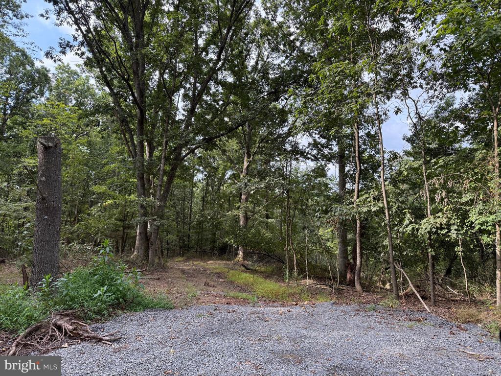 Photo of Fairview Drive, BERKELEY SPRINGS, WV 25411 (MLS # WVMO2006776)
