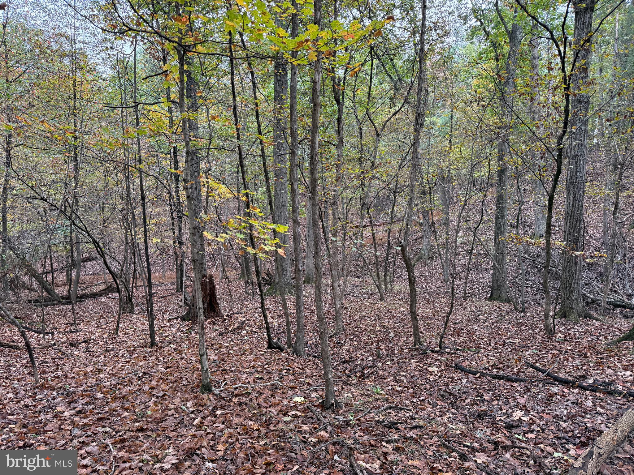 NONE AVAILABLE - Land