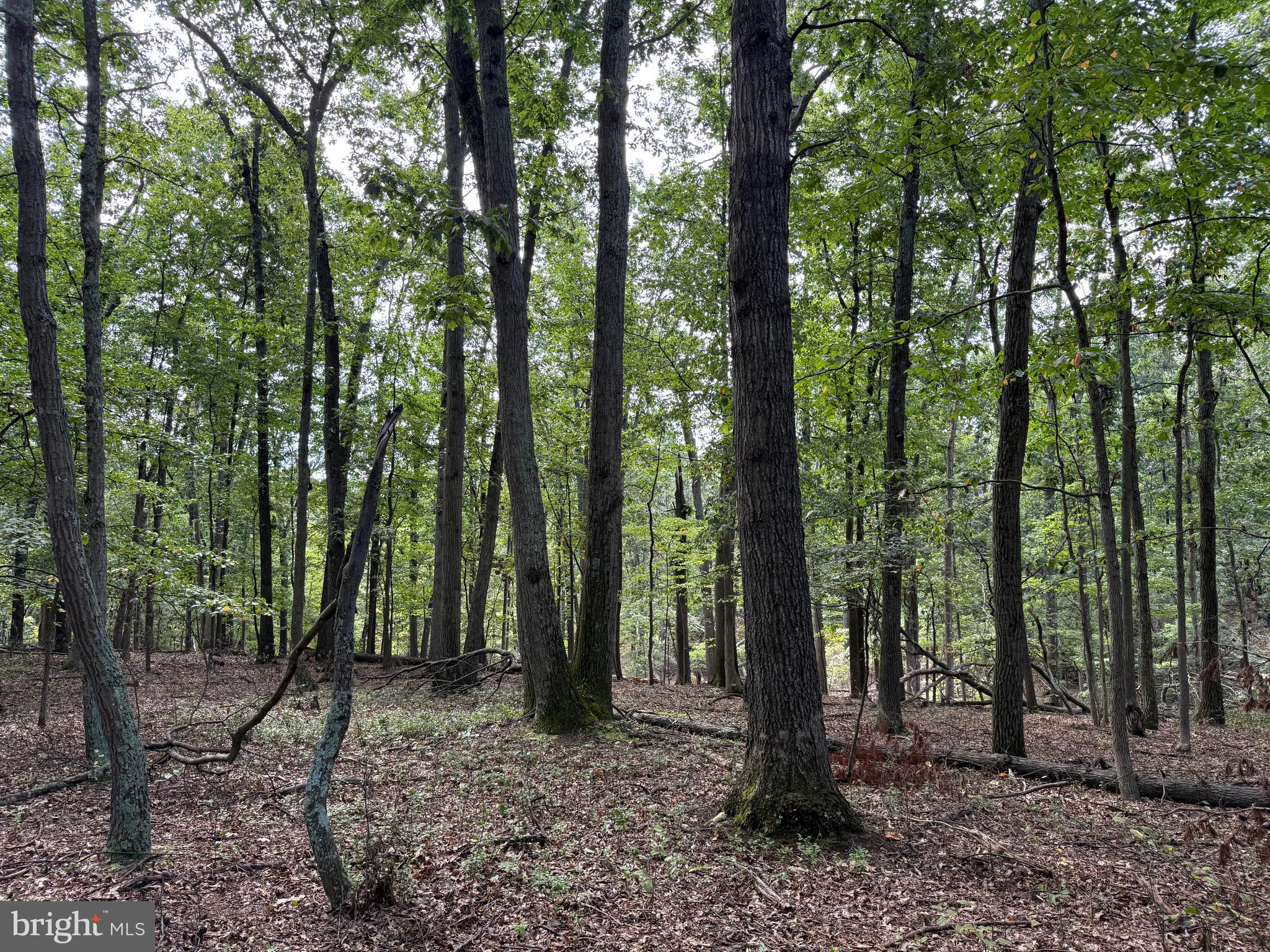 NONE AVAILABLE - Land