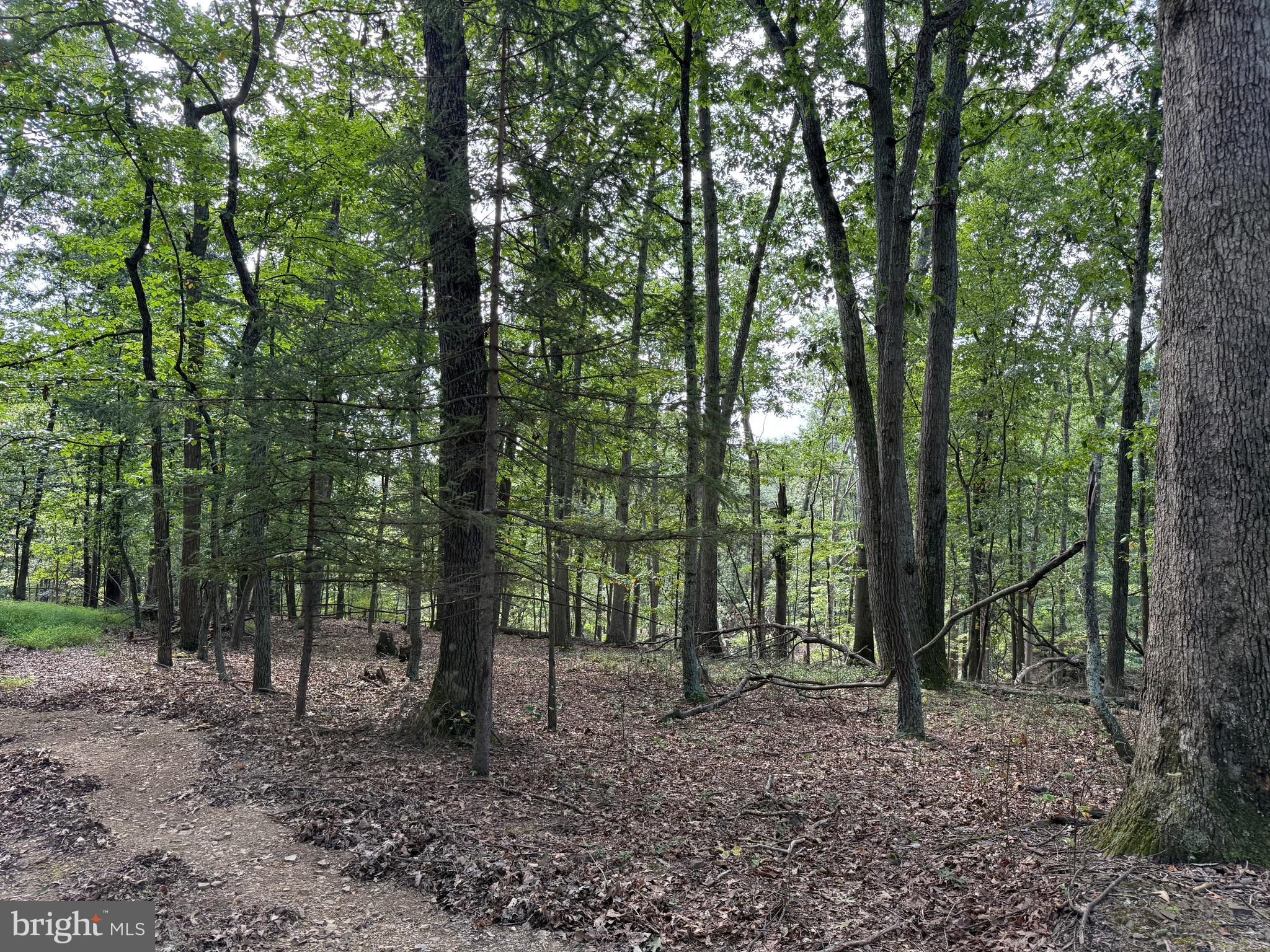 NONE AVAILABLE - Land