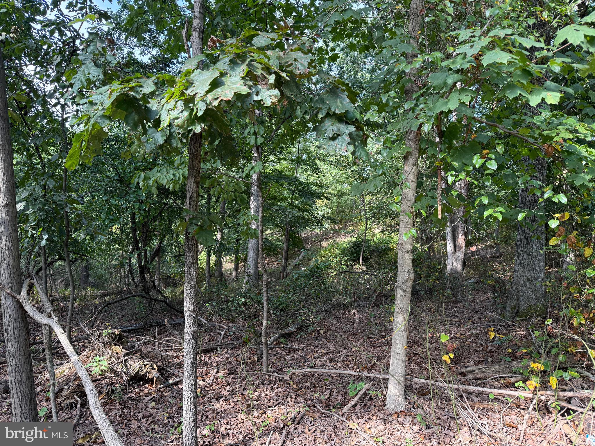 NONE AVAILABLE - Land