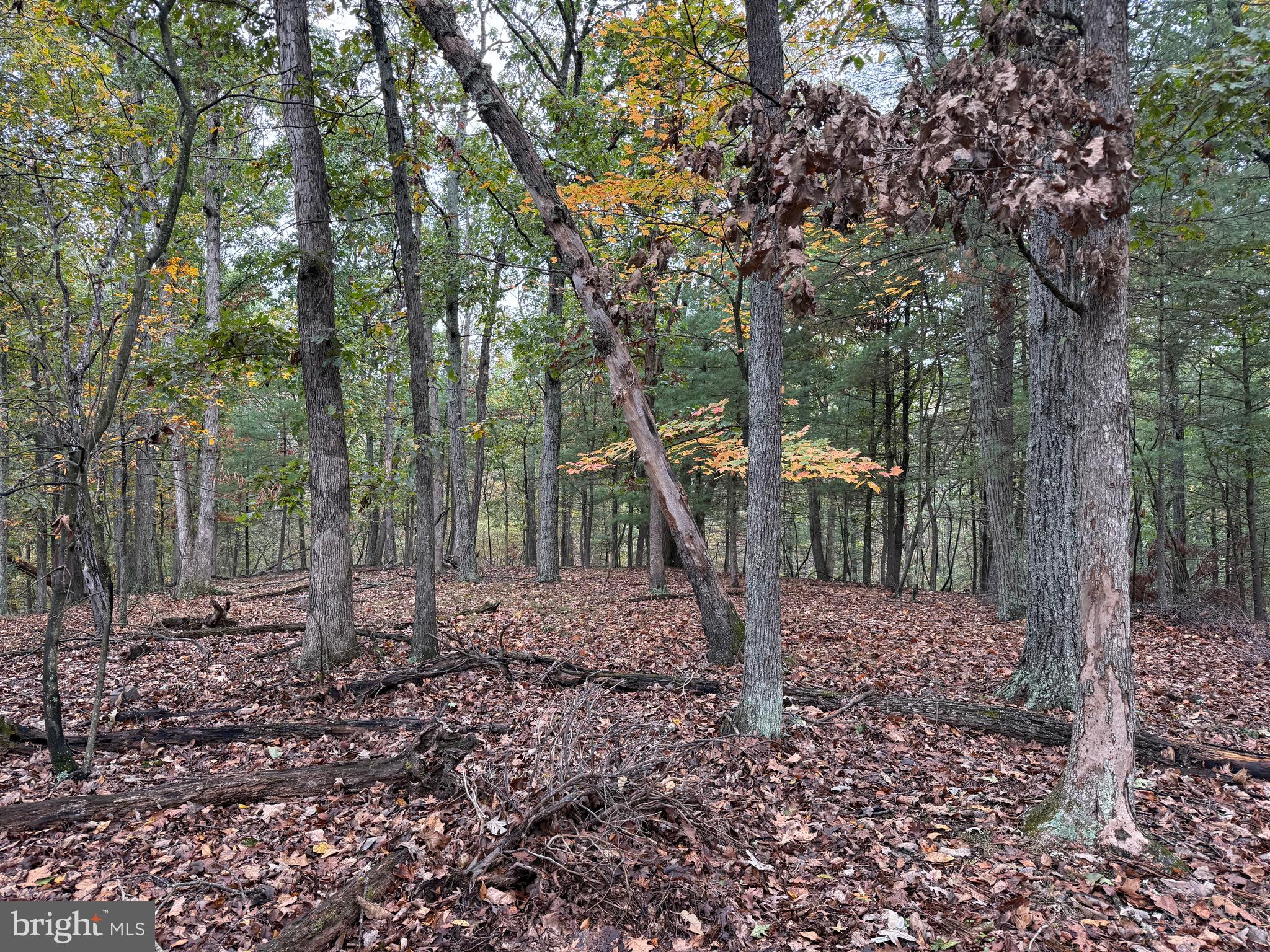 NONE AVAILABLE - Land