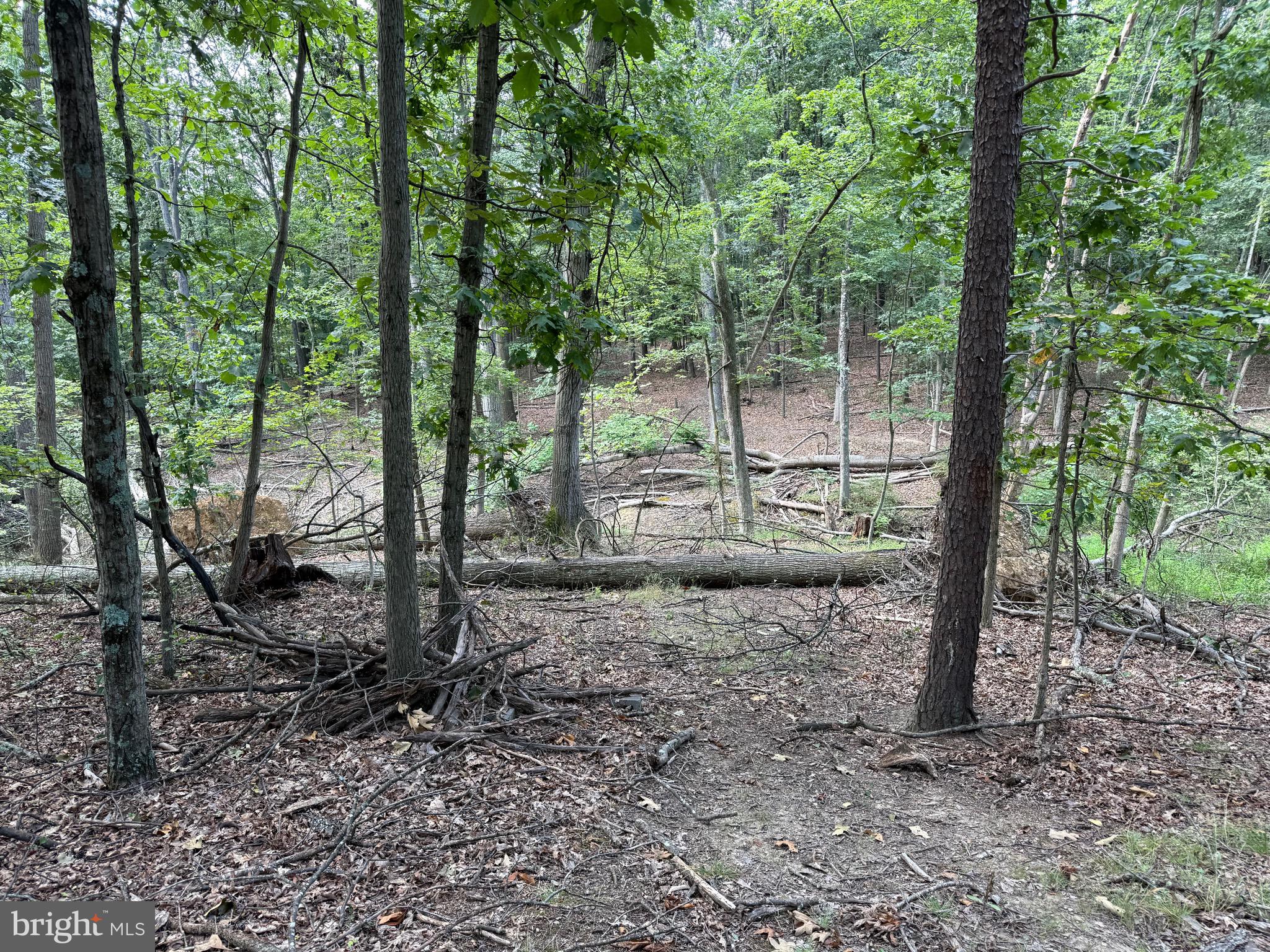 NONE AVAILABLE - Land