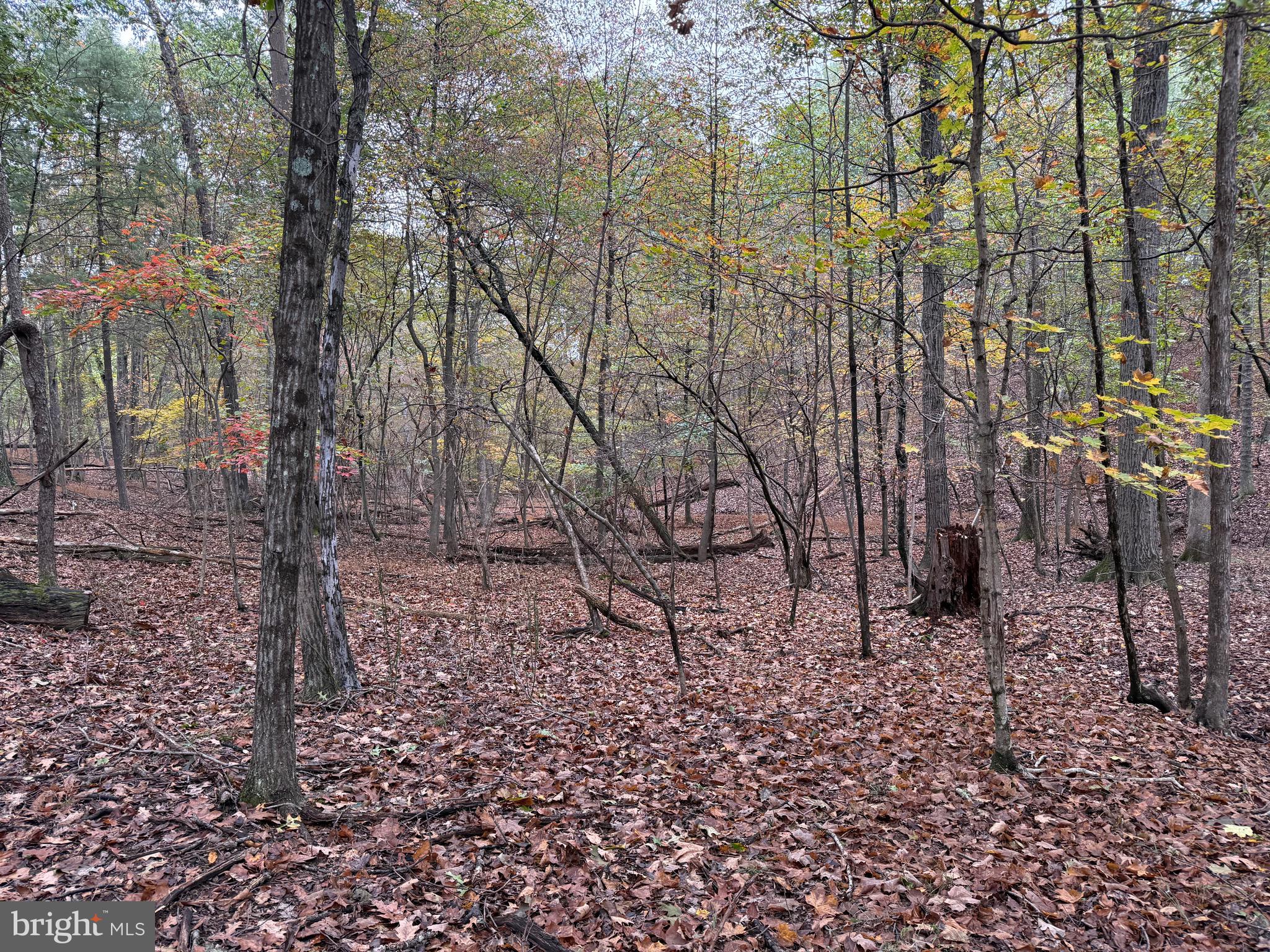 NONE AVAILABLE - Land