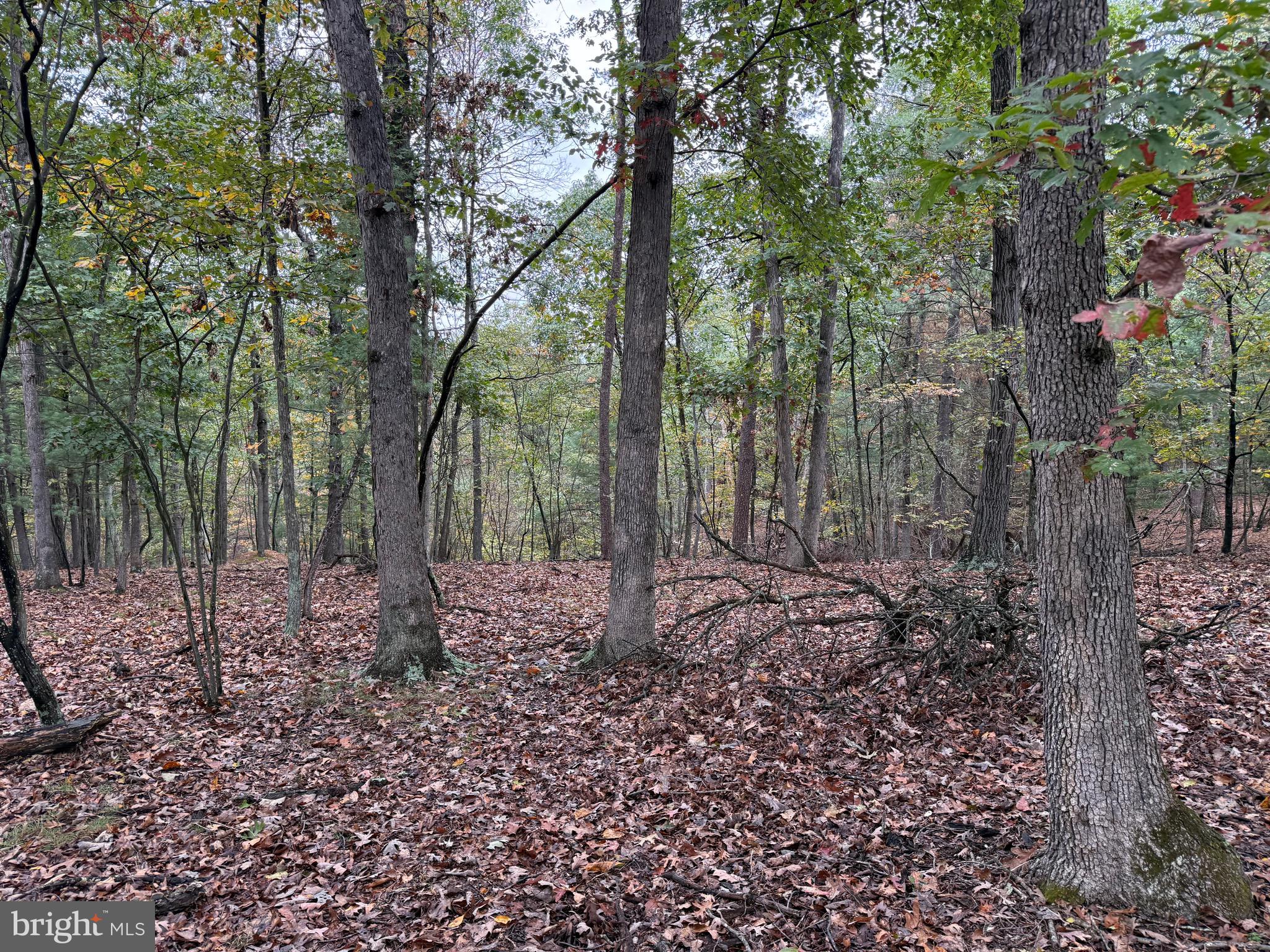 NONE AVAILABLE - Land