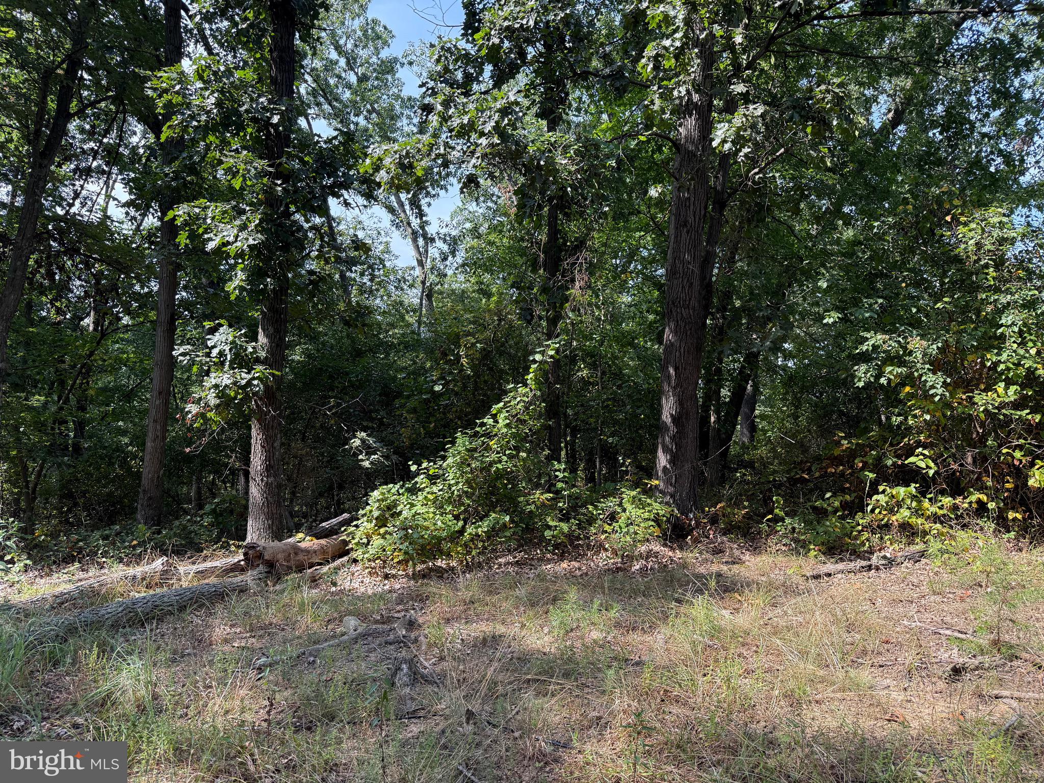 NONE AVAILABLE - Land