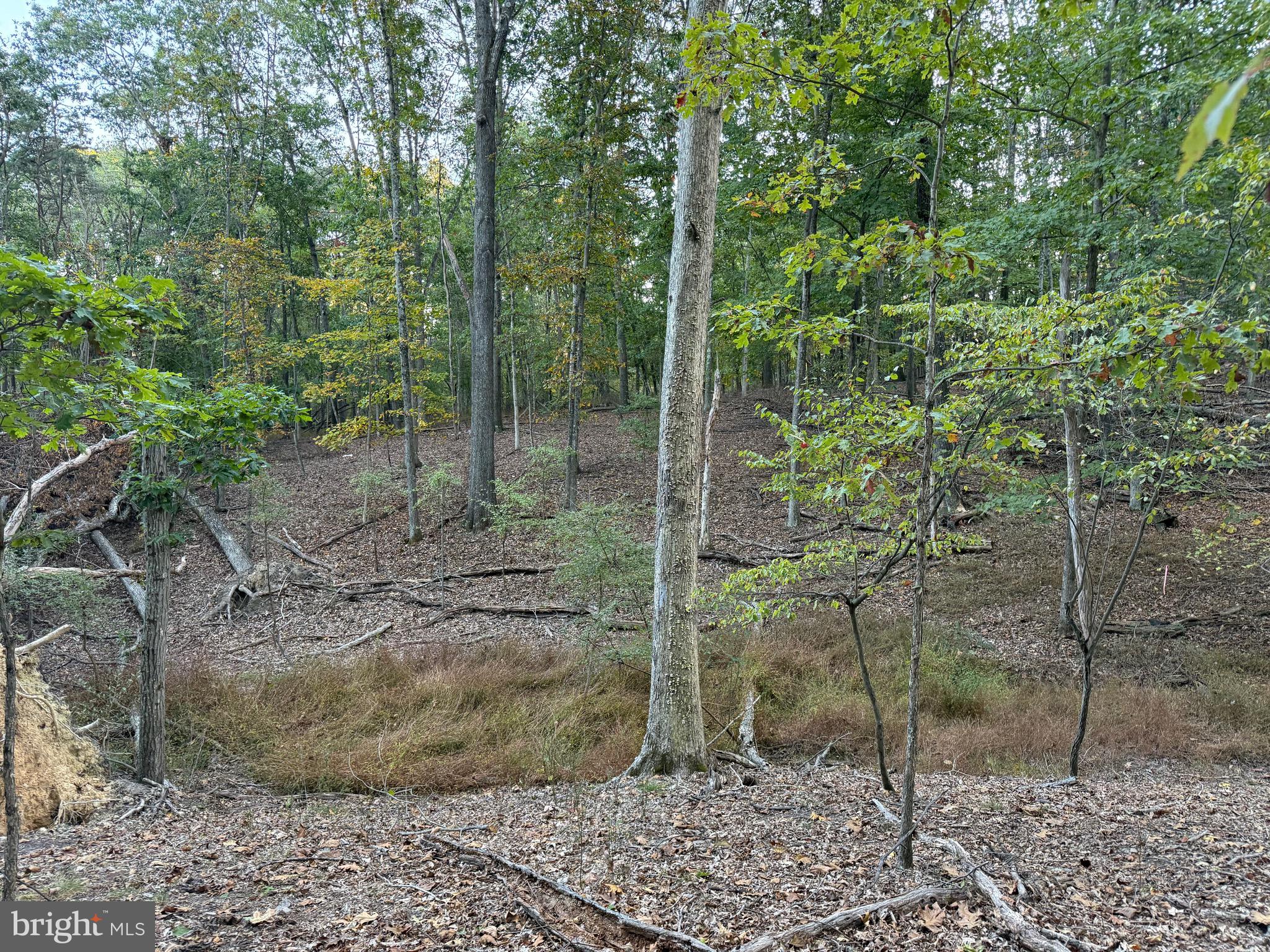 NONE AVAILABLE - Land