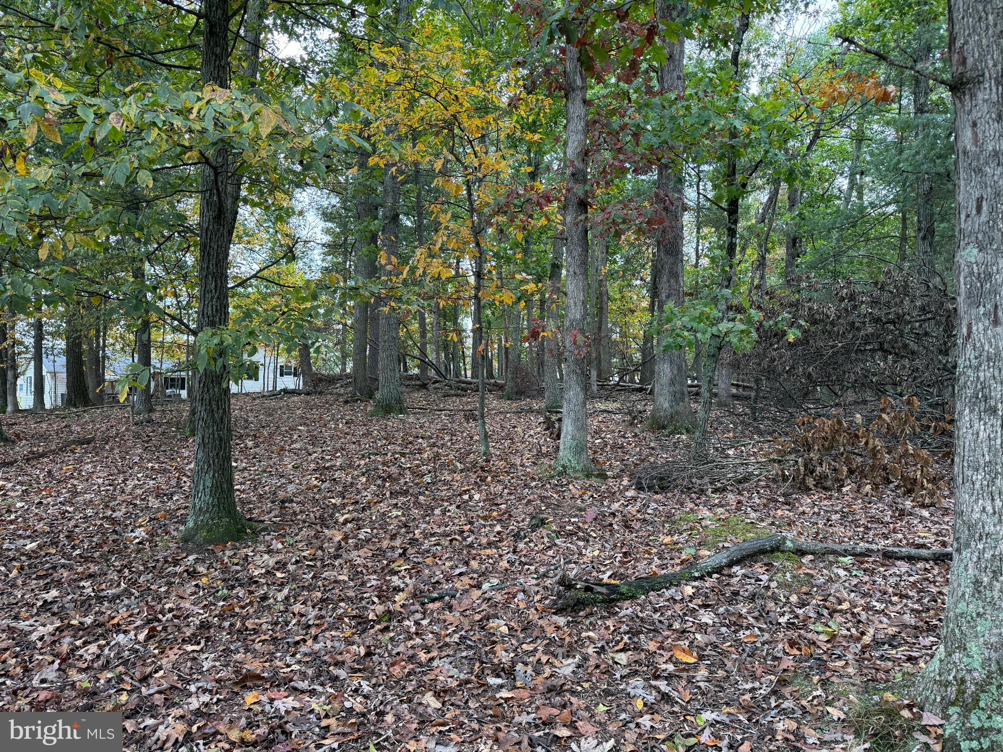 NONE AVAILABLE - Land